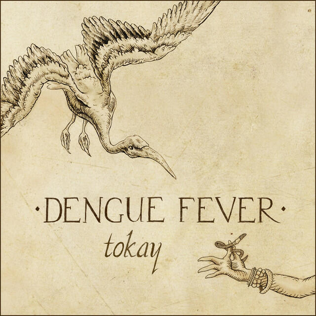 Релиз Tokay