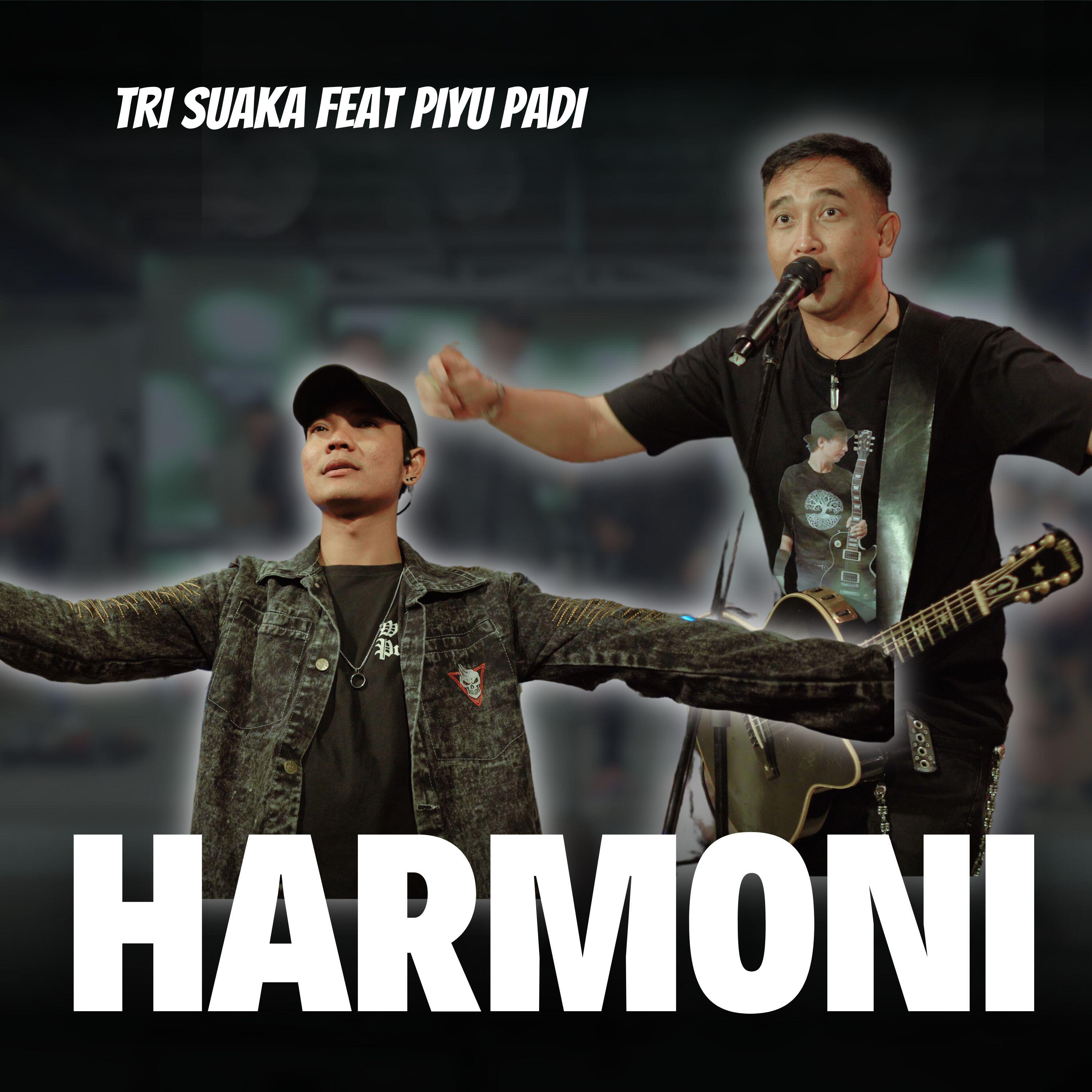 Релиз Harmoni