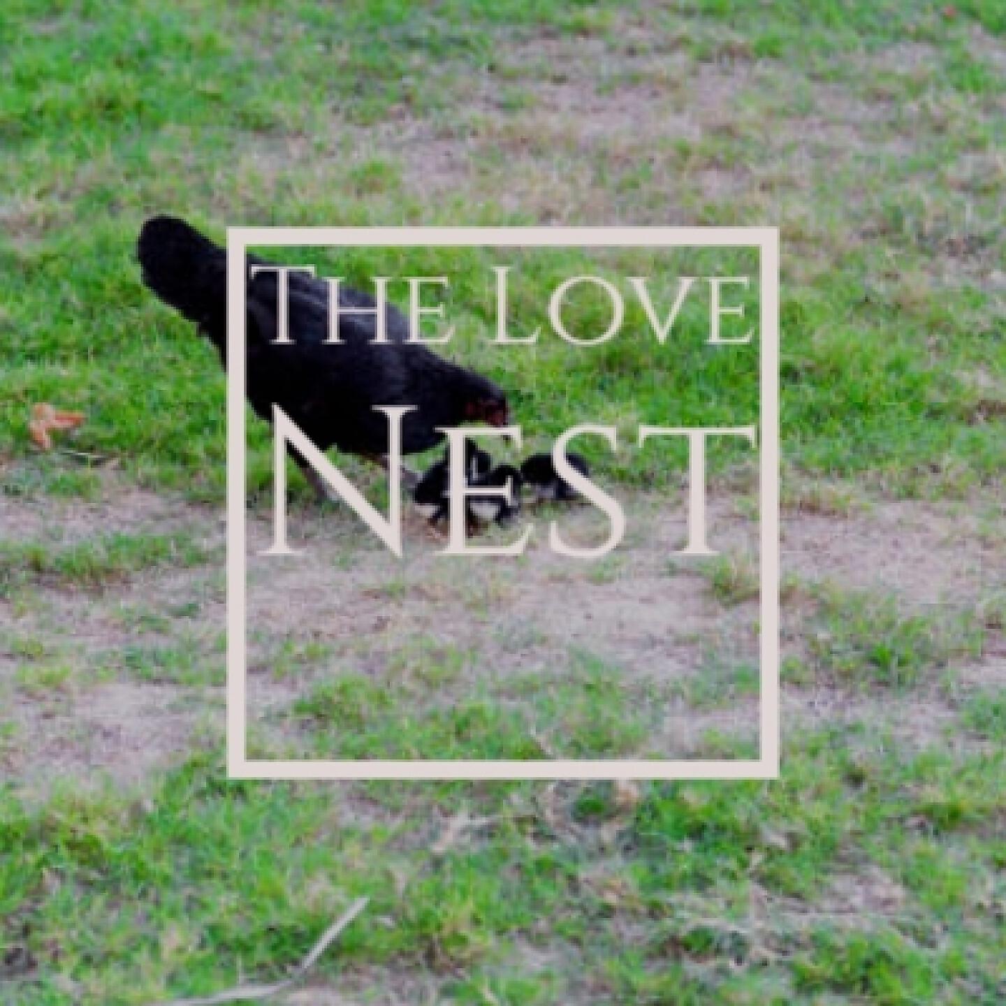 Релиз The Love Nest