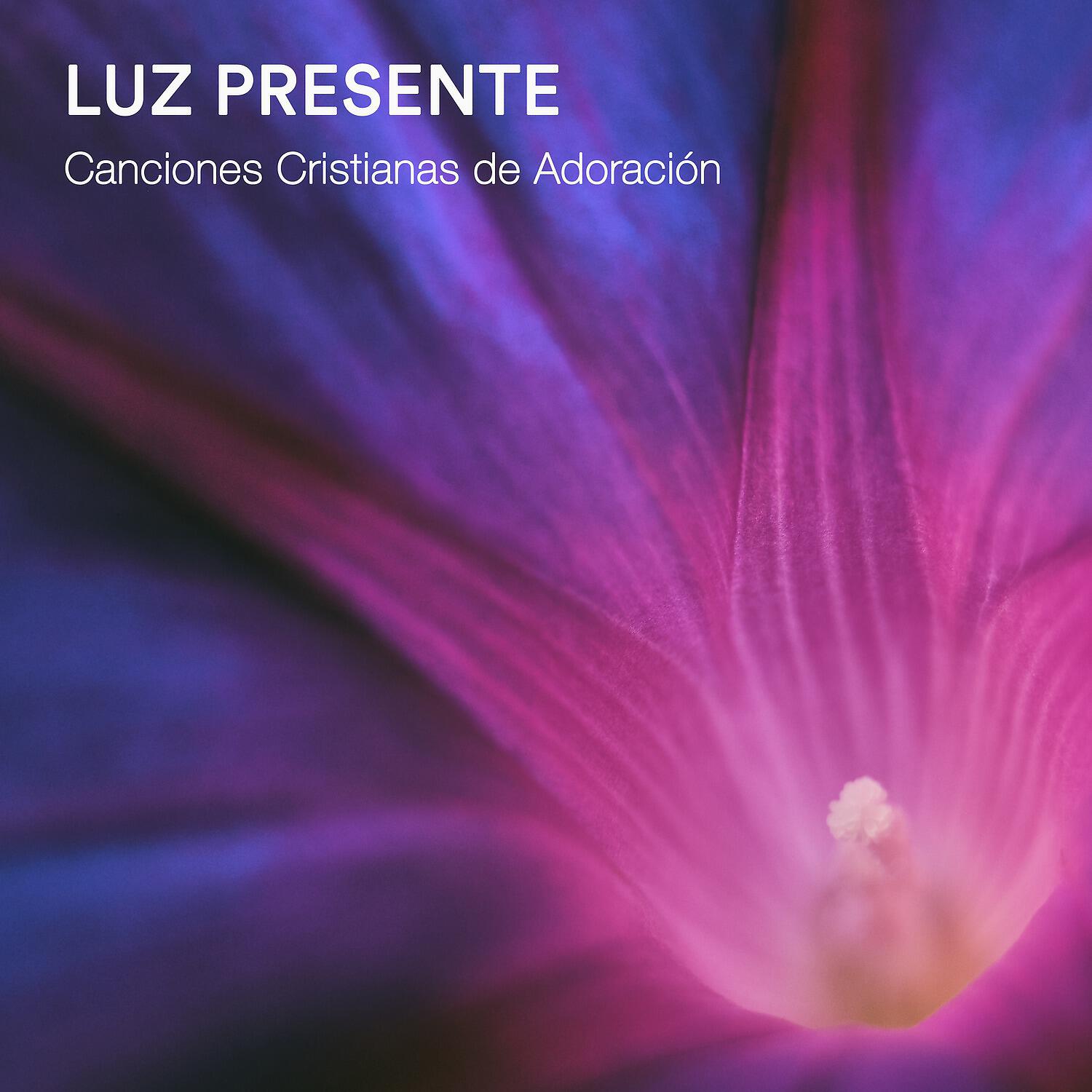 Luz Presente