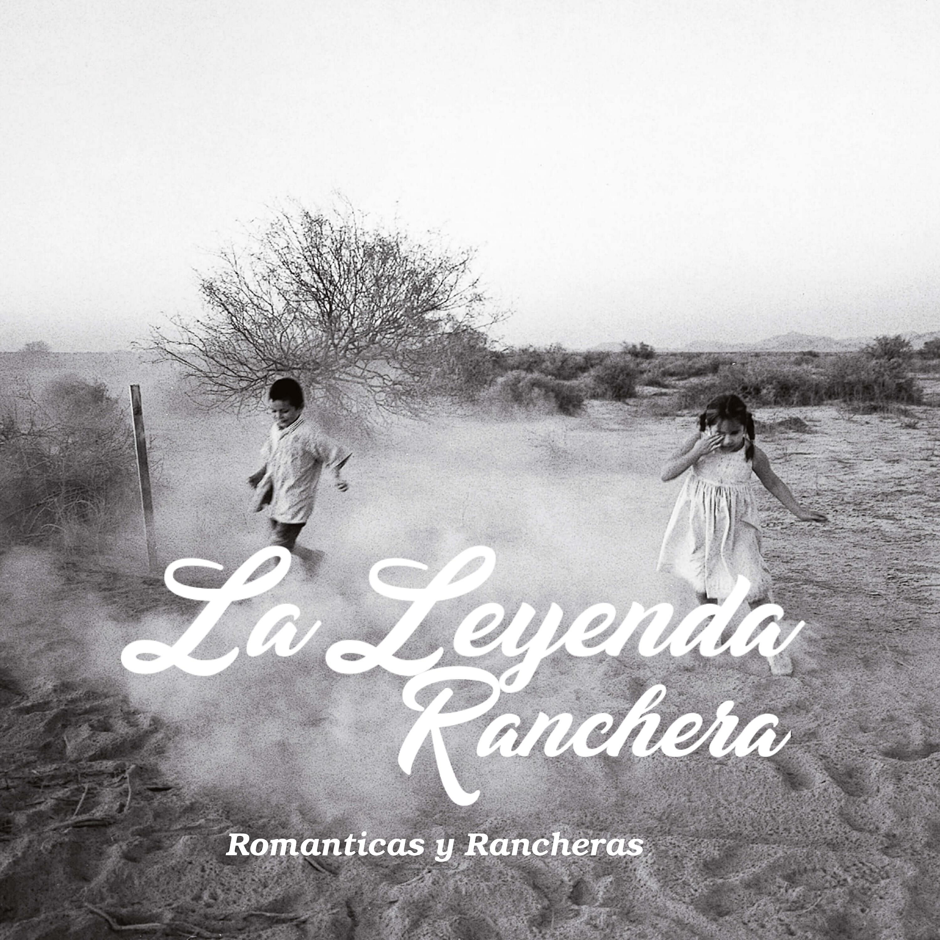 Релиз Romanticas Y Rancheras