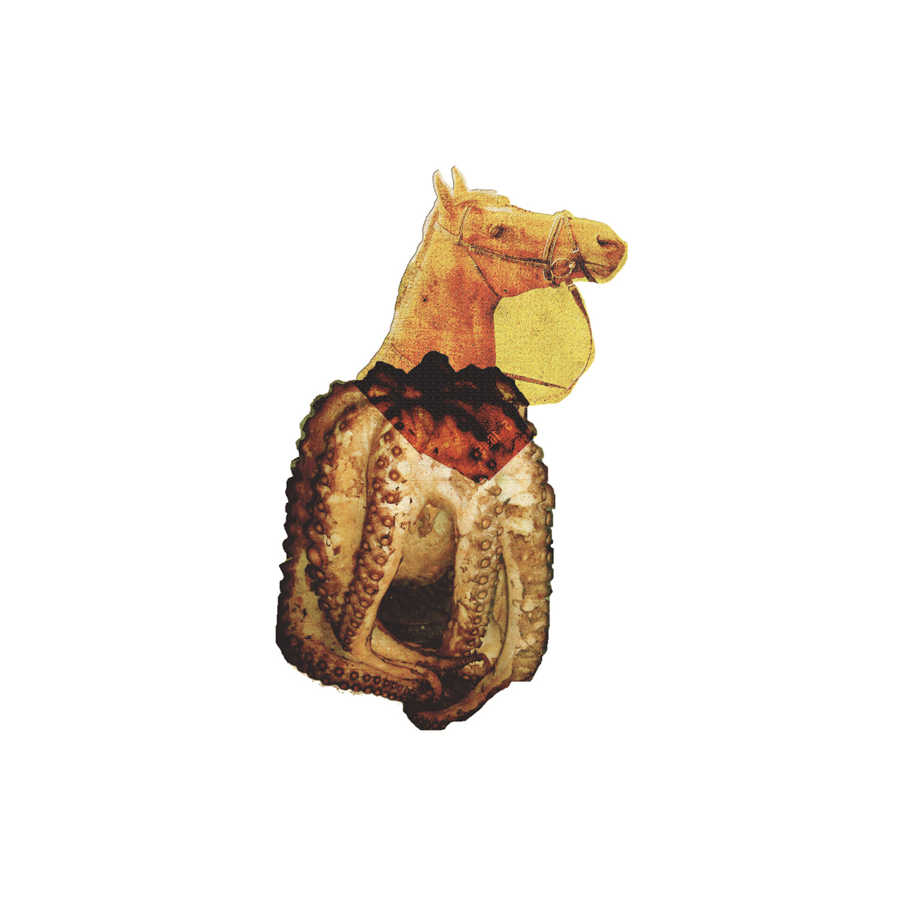 Релиз Seahorse