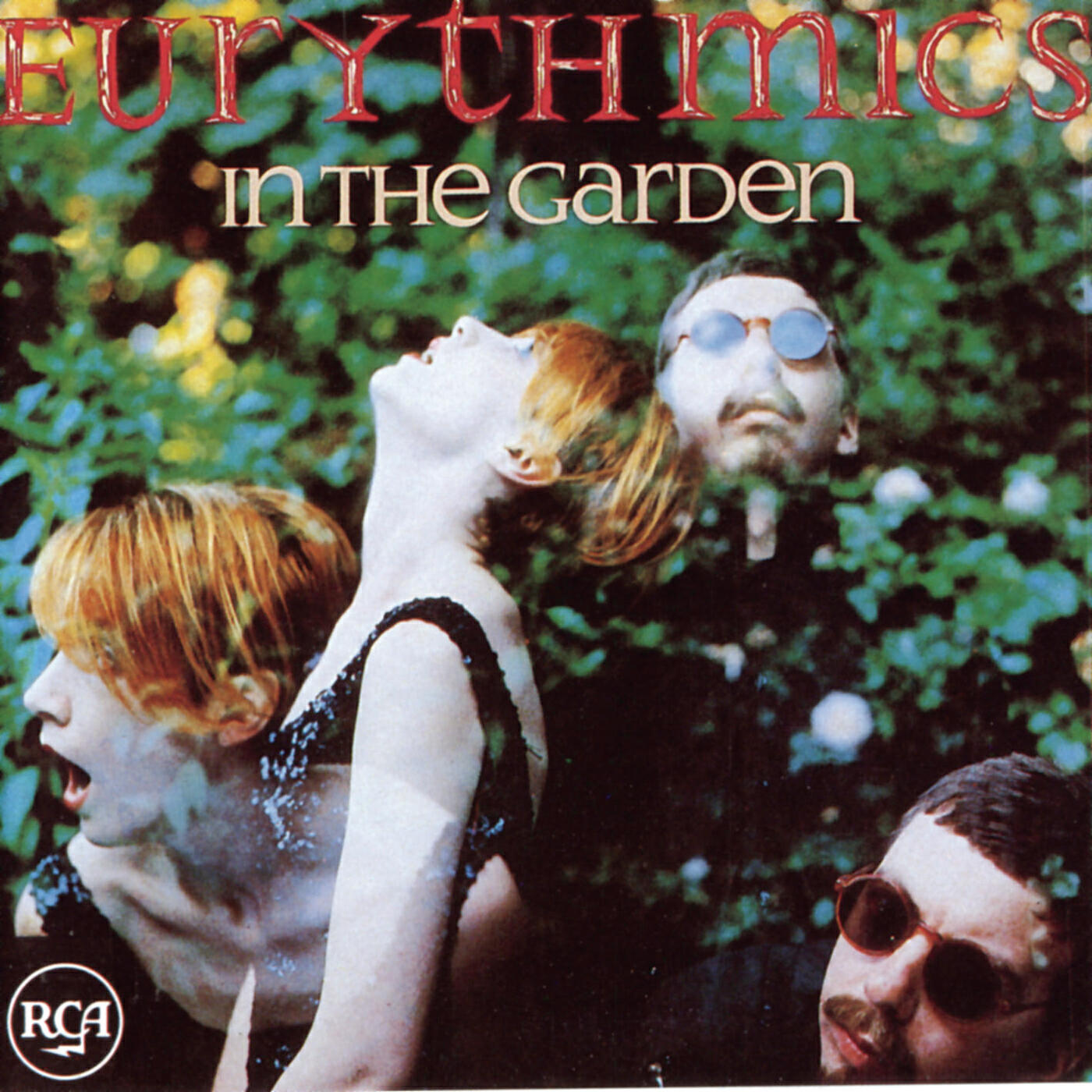 Релиз In The Garden