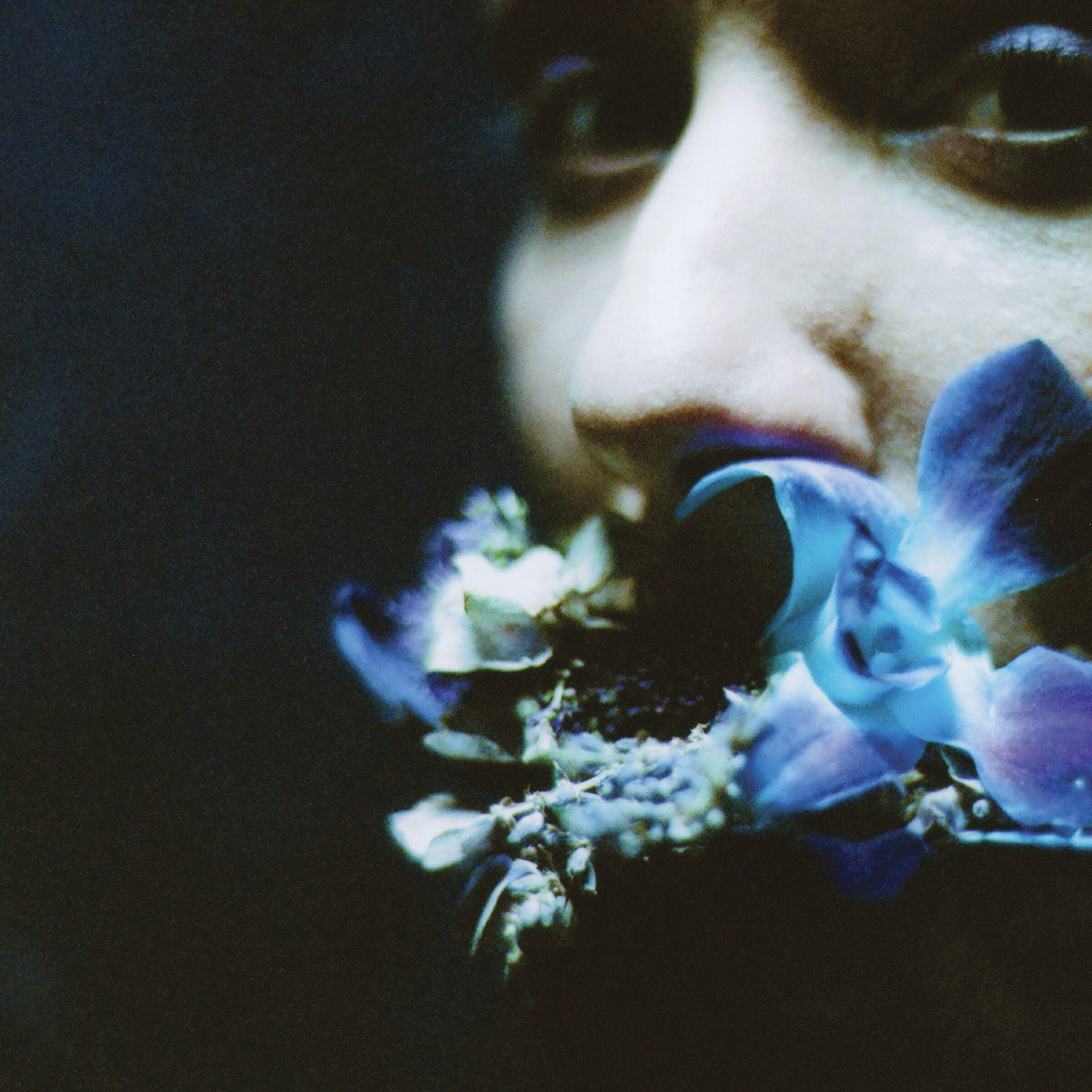Релиз Reaching For Indigo