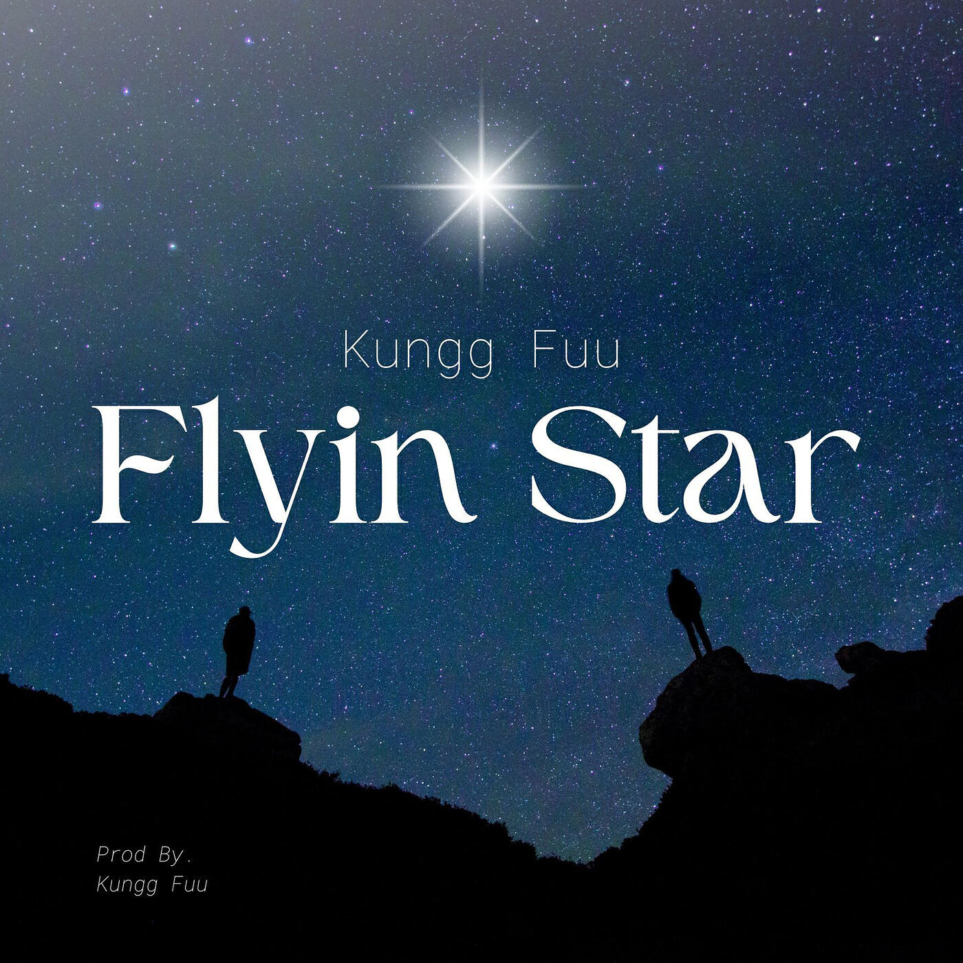 Постер альбома Flyin Star