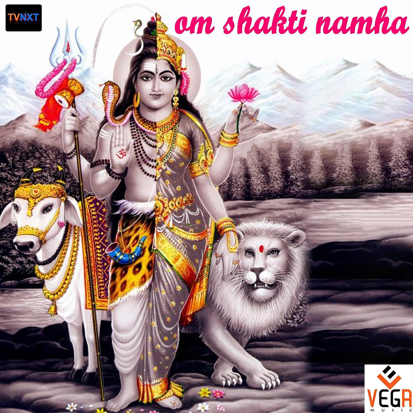 Релиз Om Shakti Namha