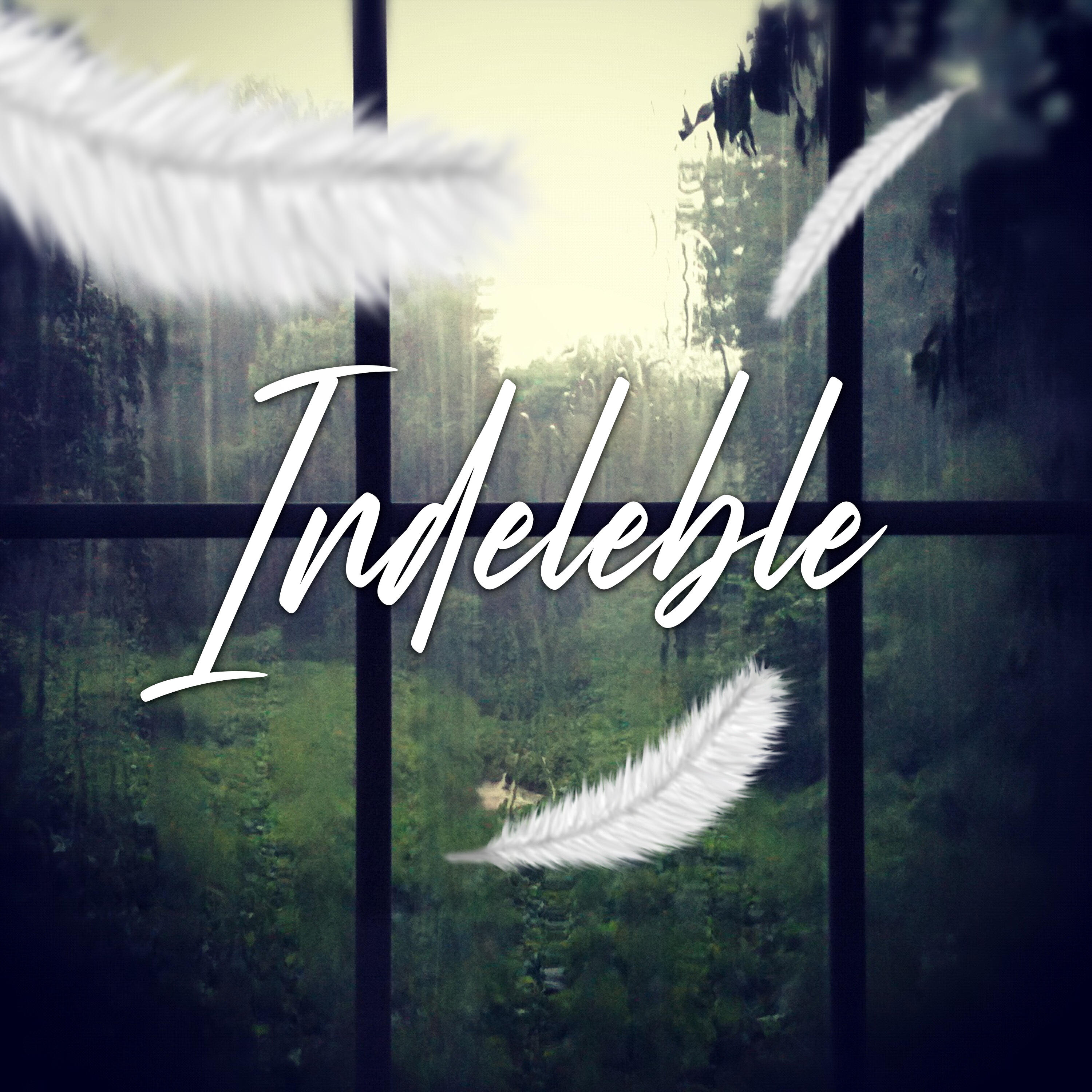 Релиз Indeleble