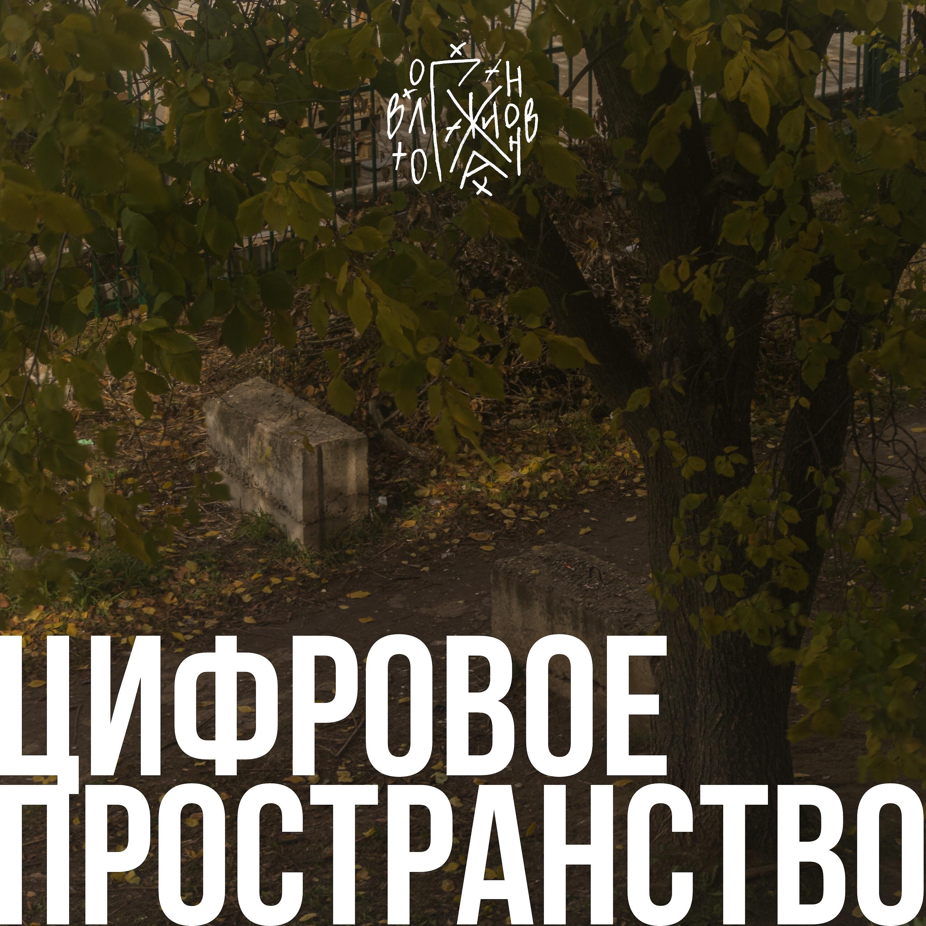 Релиз Цифровое пространство