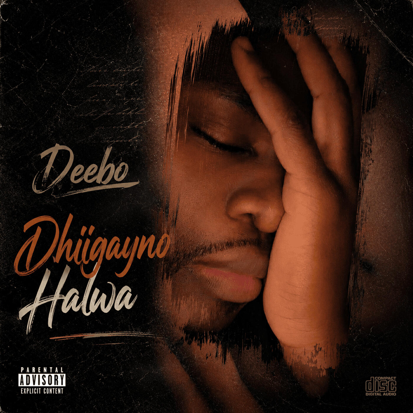 Релиз Dhiigayno Halwa