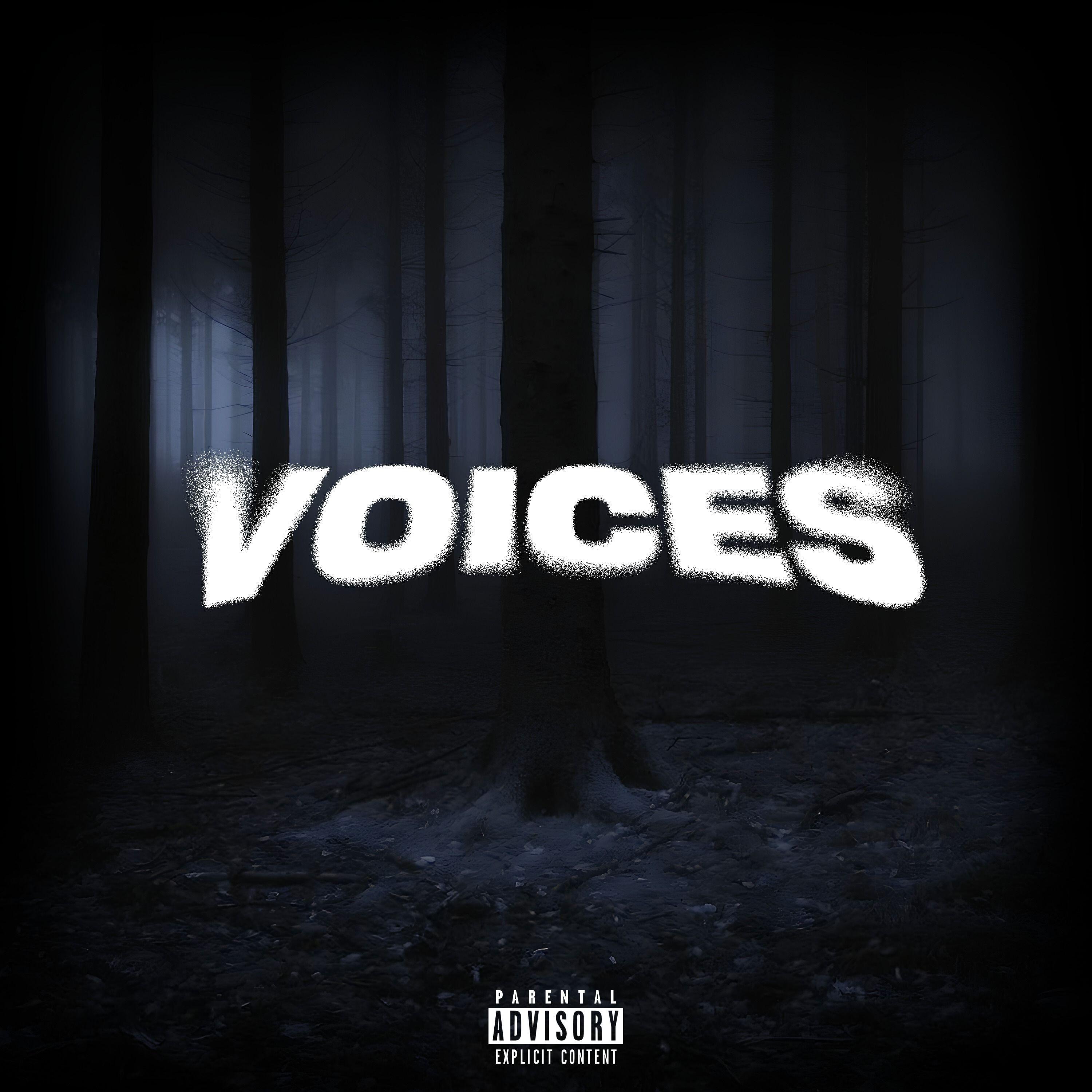 Постер альбома Voices