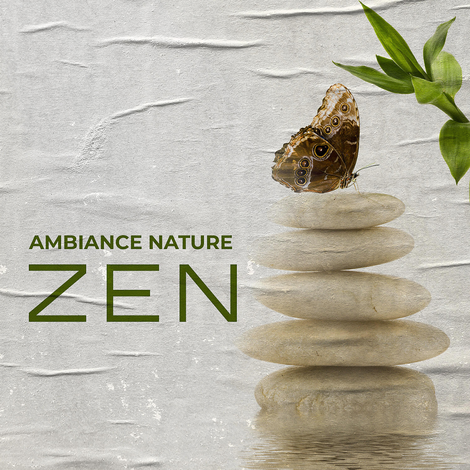Релиз Ambiance nature zen: Pleine conscience du matin & Commencez votre journée