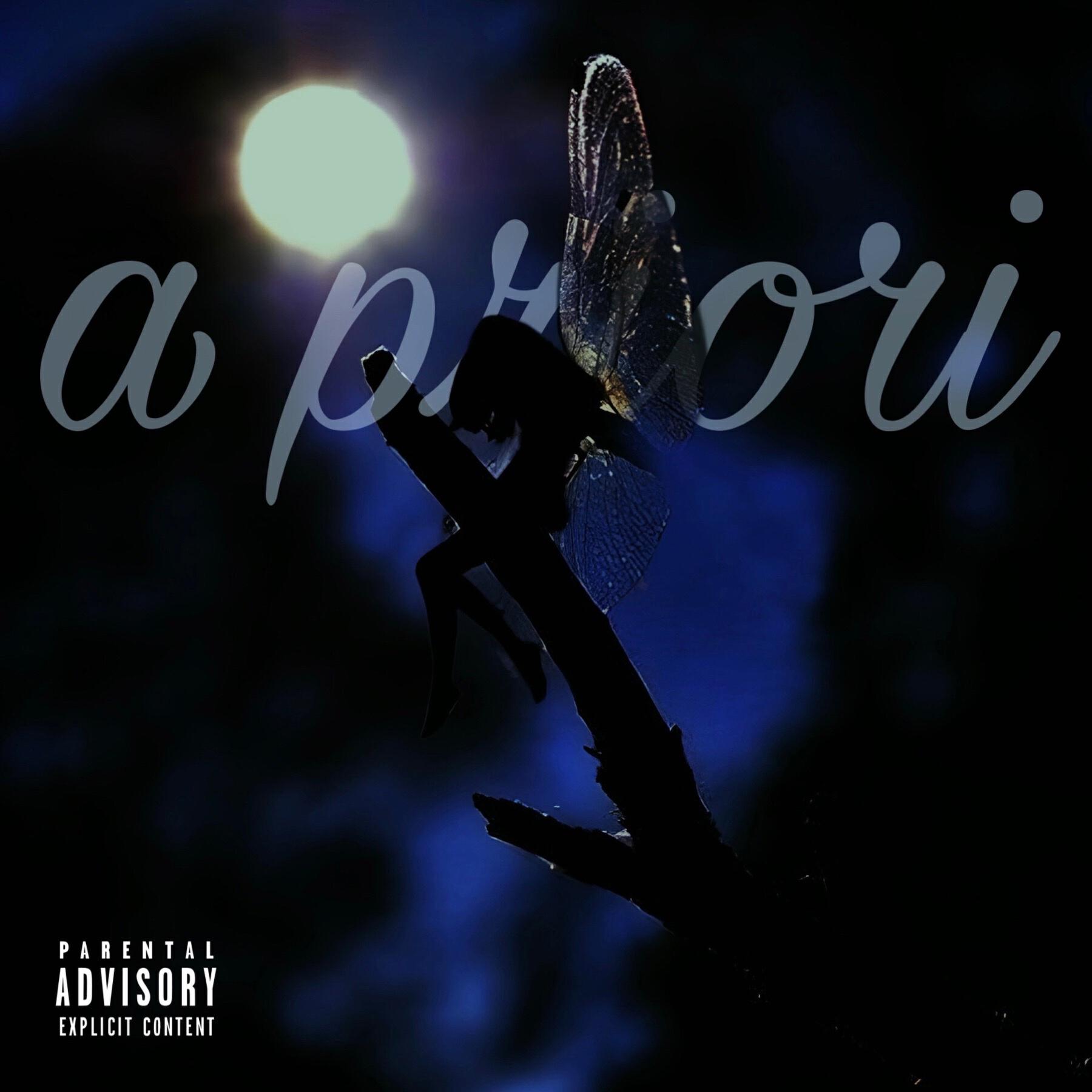 Релиз a priori
