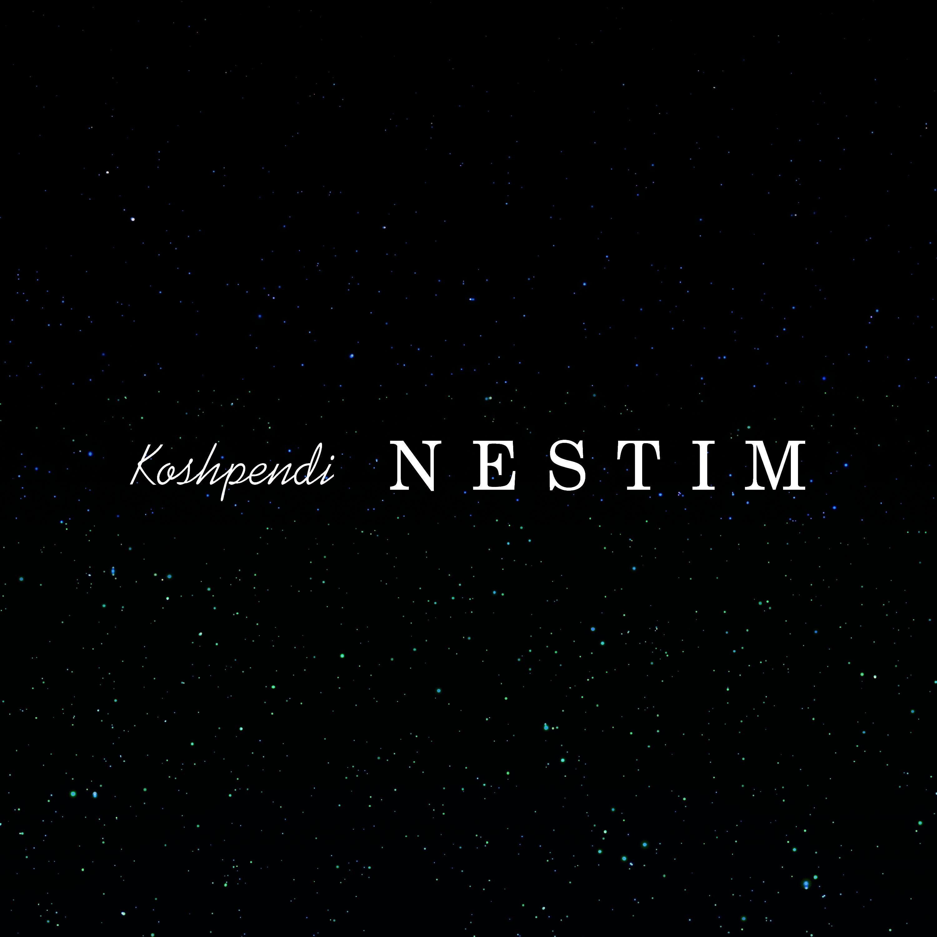 Релиз nestim