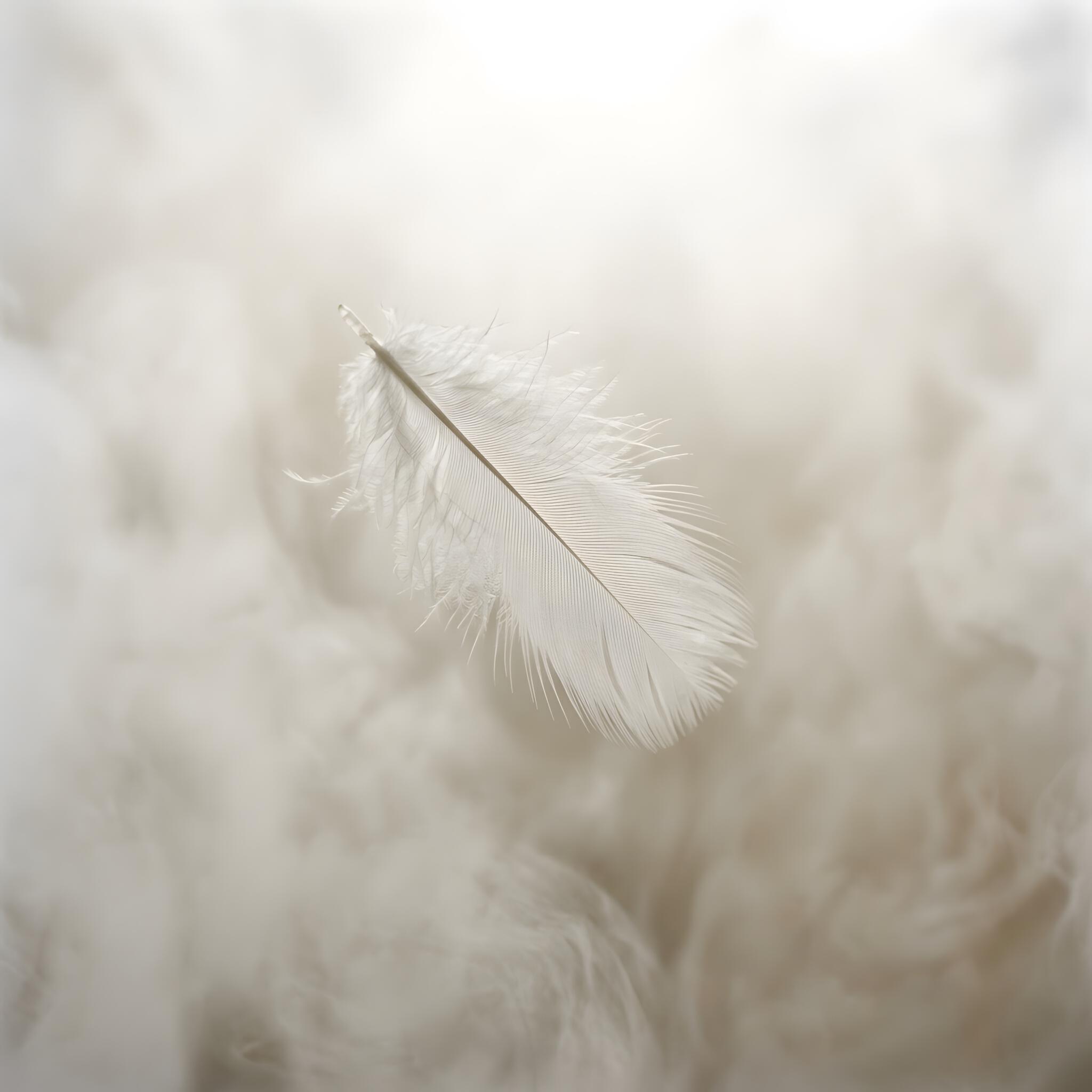 Релиз Forest Whisper