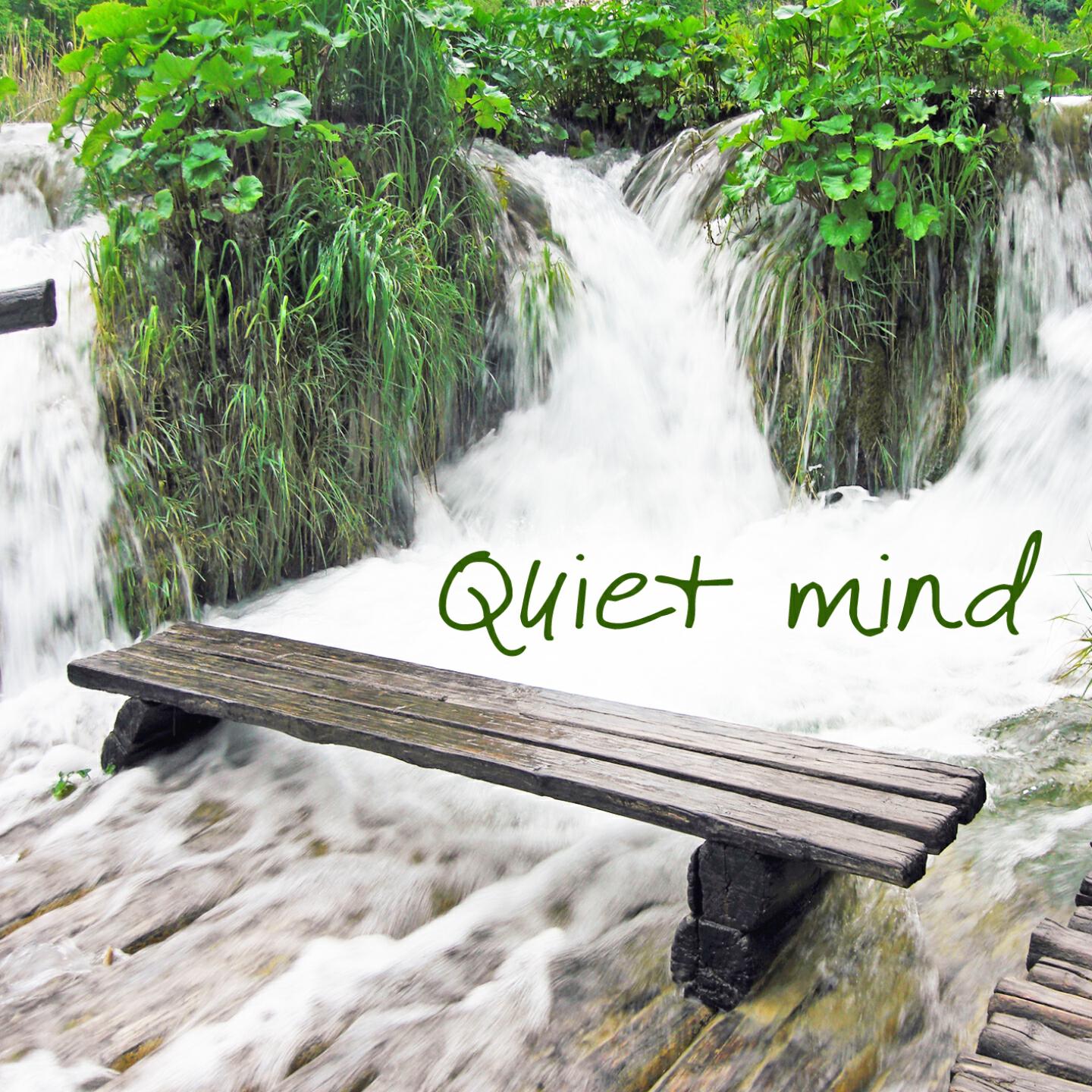Релиз Quiet Mind : Music for Relaxation & Meditation, Yoga, Massage and Spa