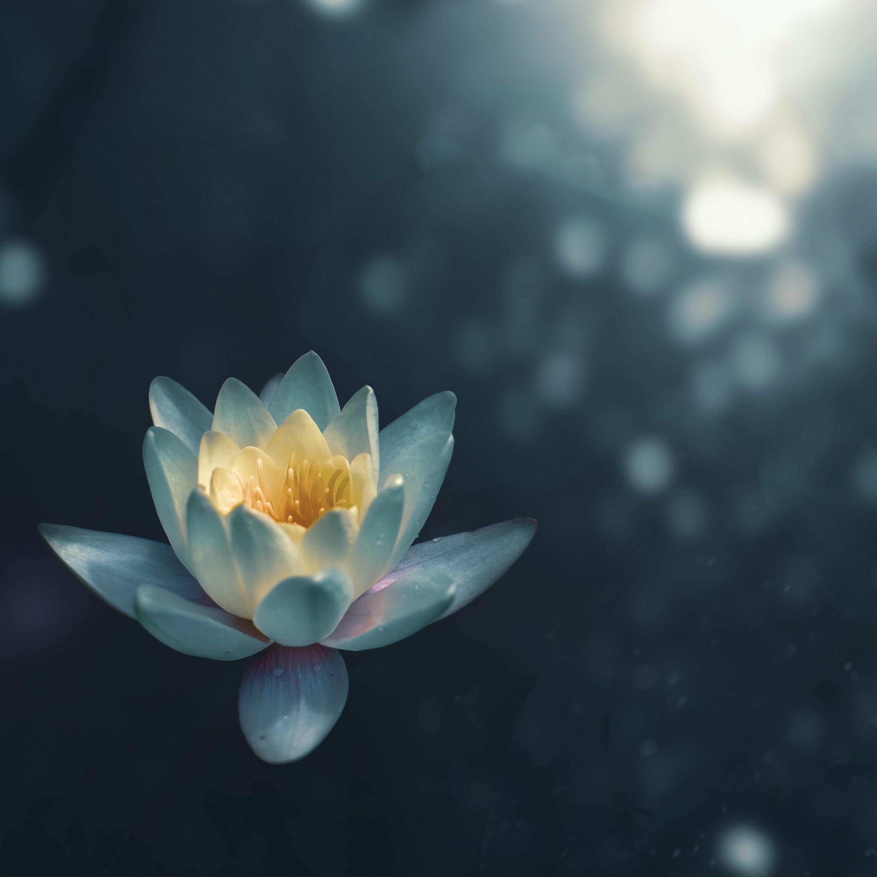 Soular Healing