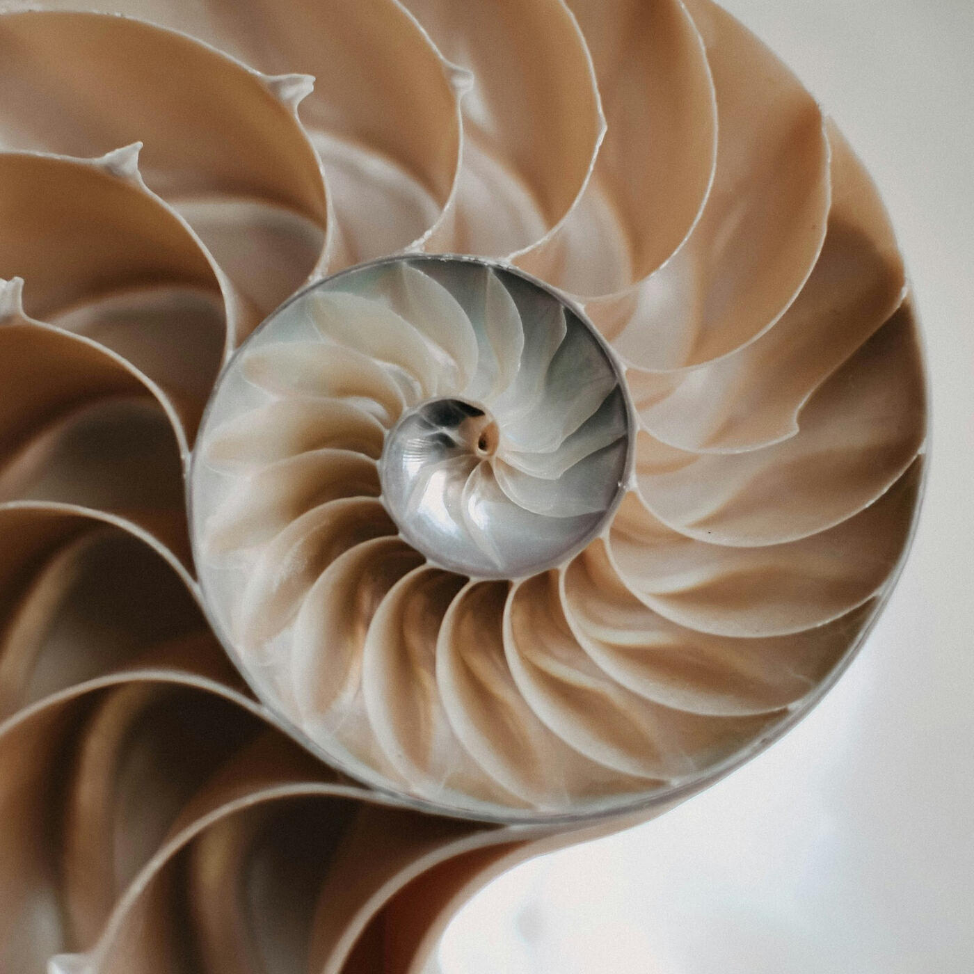 Релиз Spiral