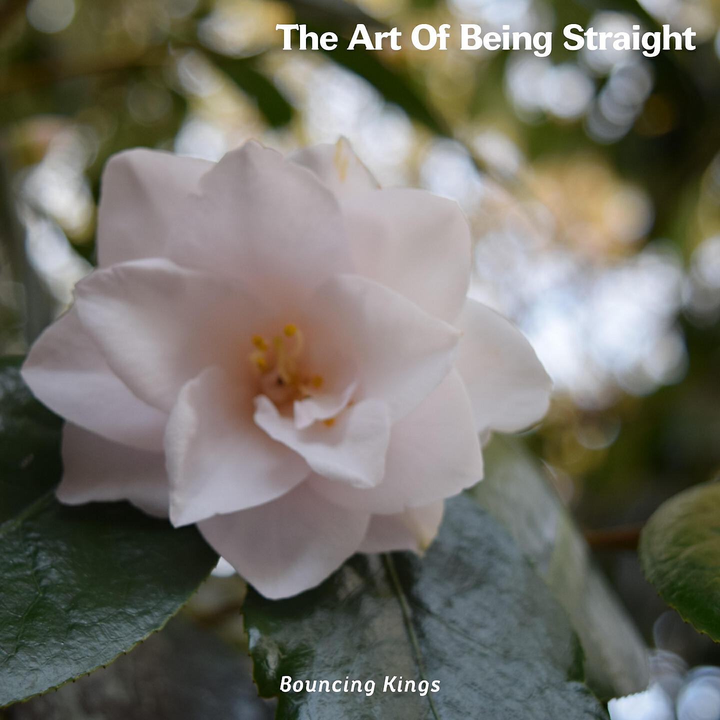 Постер альбома The Art Of Being Straight