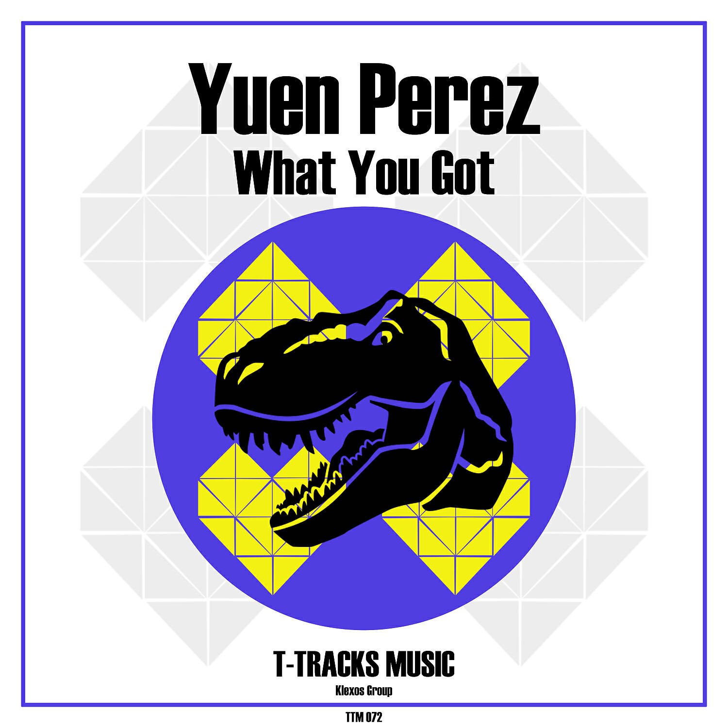Релиз What You Got