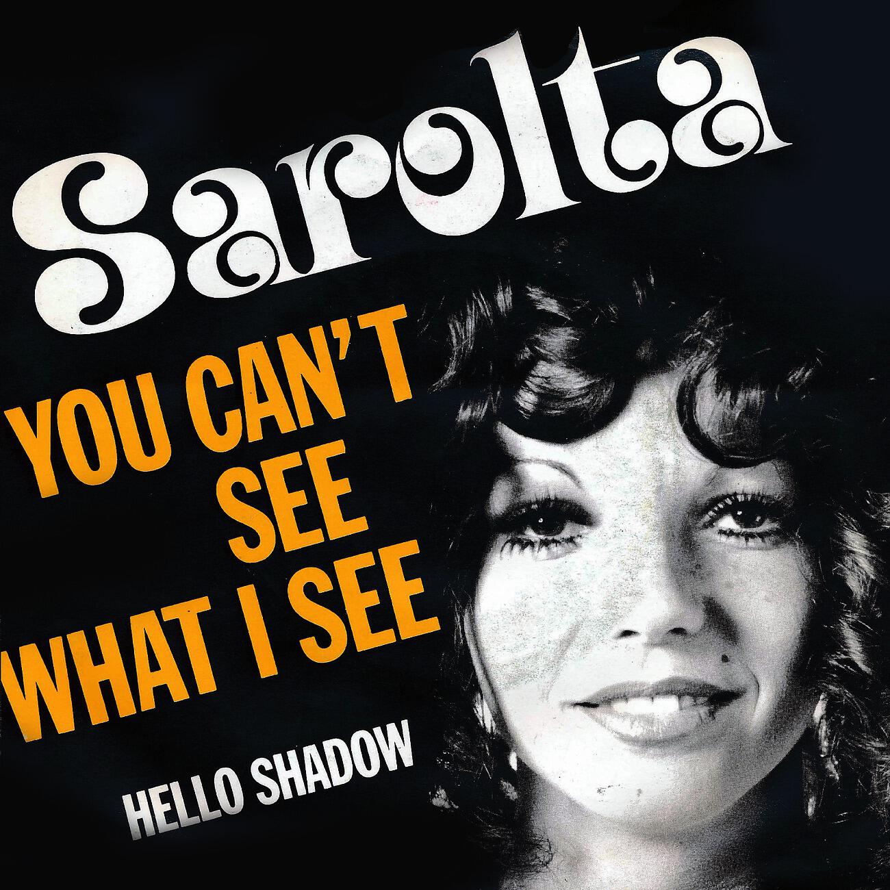 Релиз You Can't See What I See