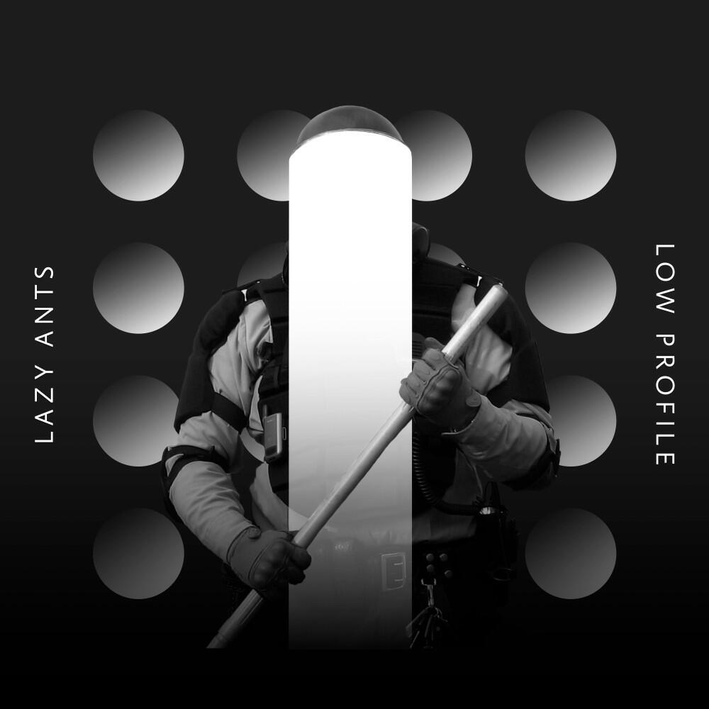 Релиз Low Profile