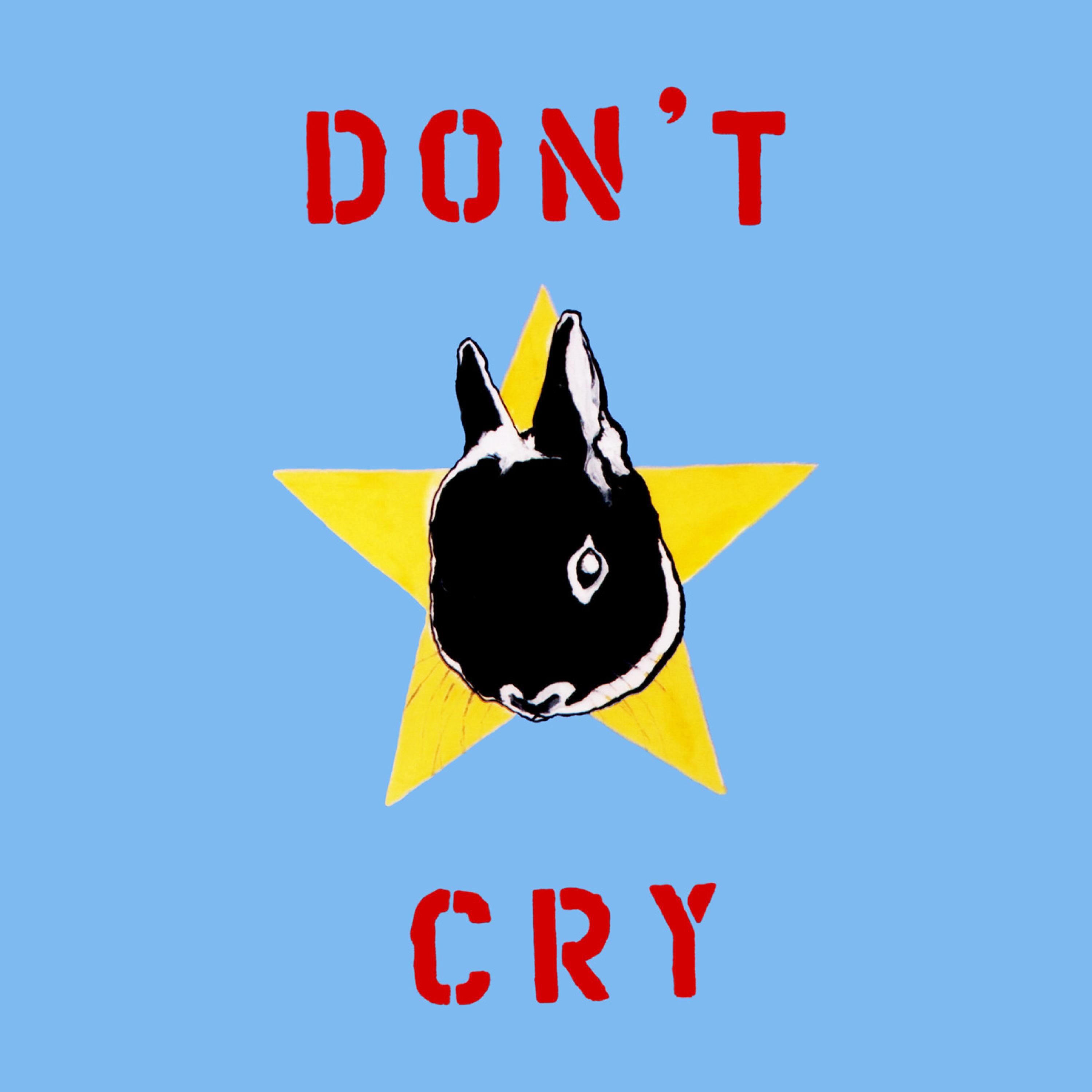 Релиз Don't Cry