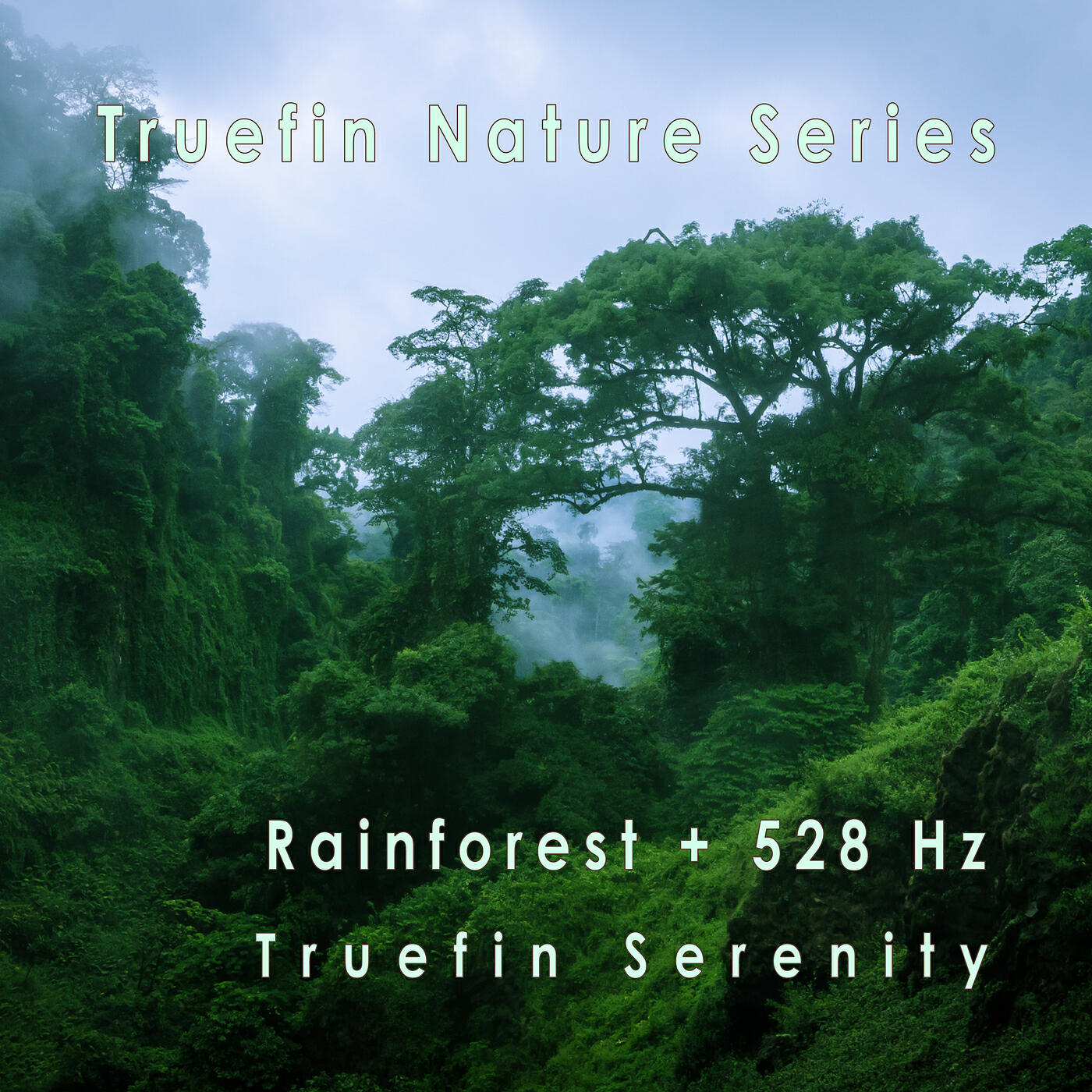 Релиз Truefin Nature Series: Rainforest + 528hz