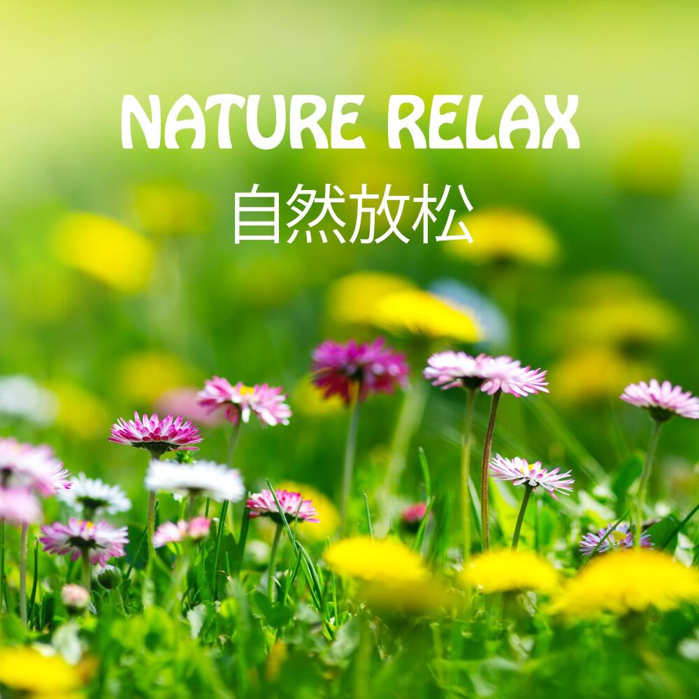 Релиз Nature Relax