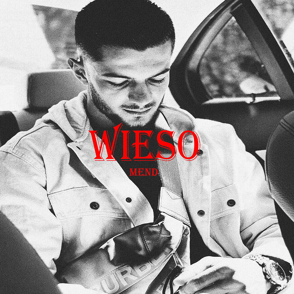 Релиз WIESO