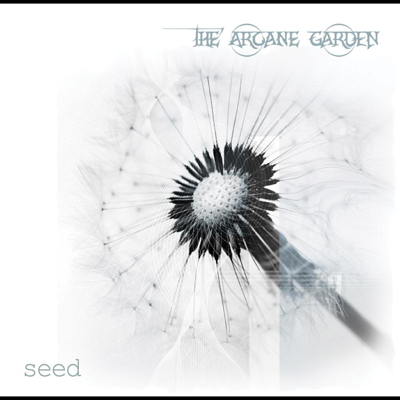 Релиз Seed