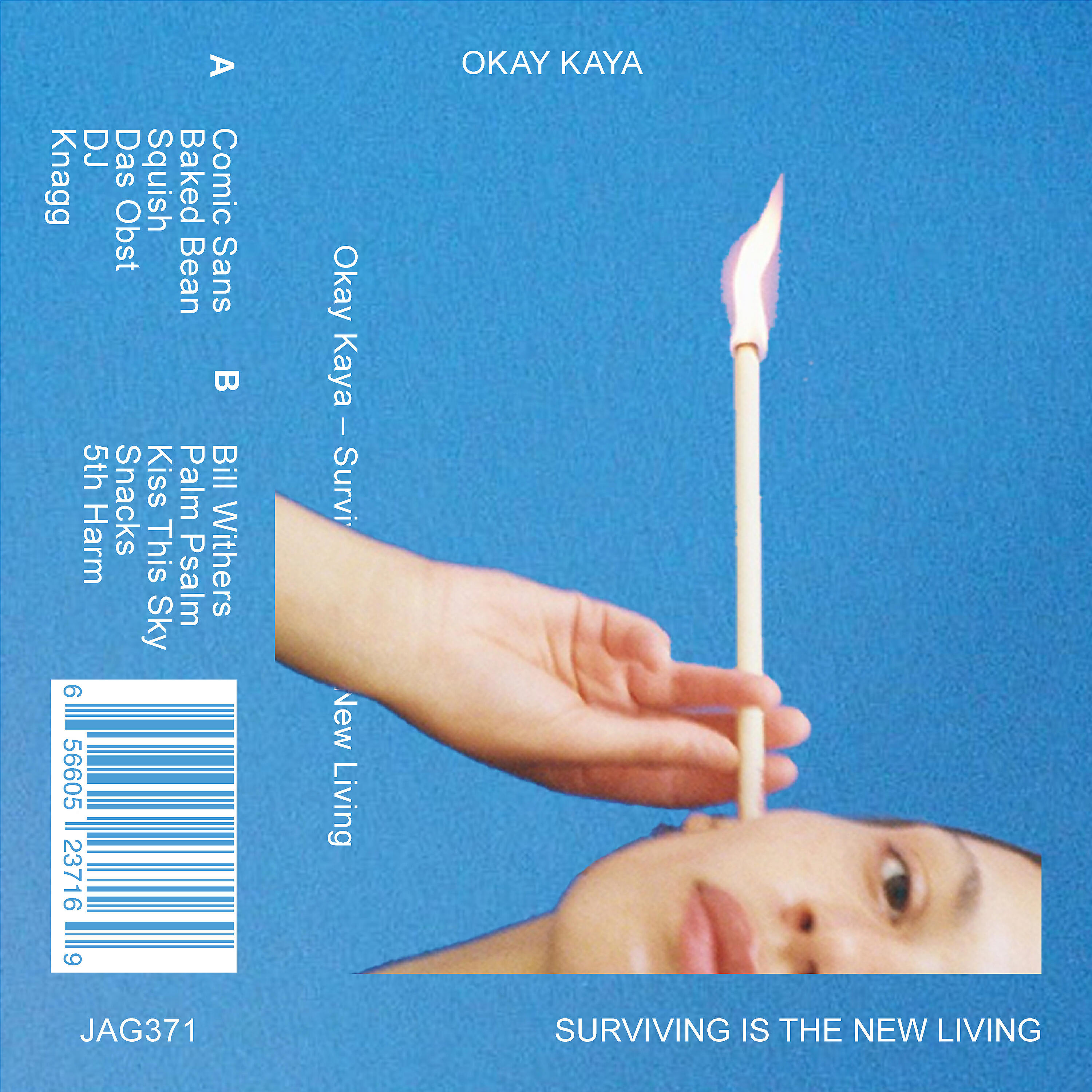 Постер альбома Surviving Is The New Living