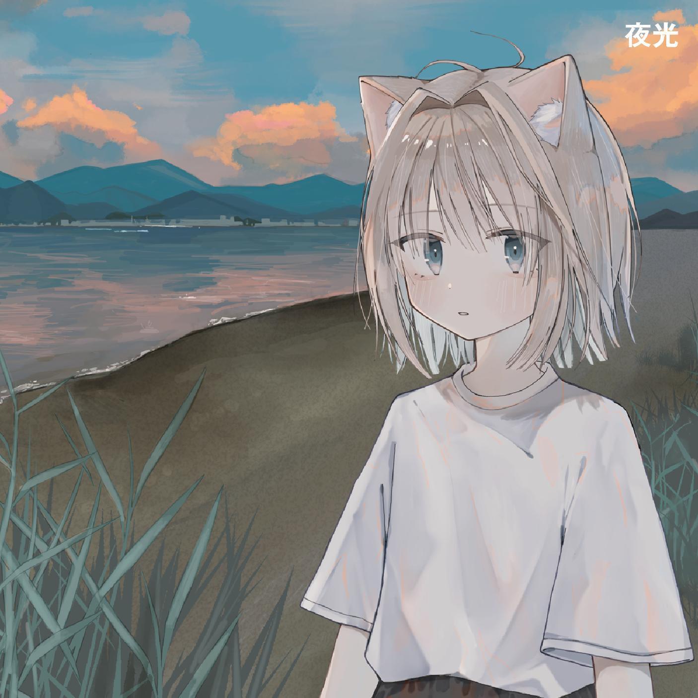 Релиз 夜光