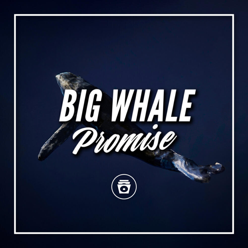Релиз Big Whale Promise