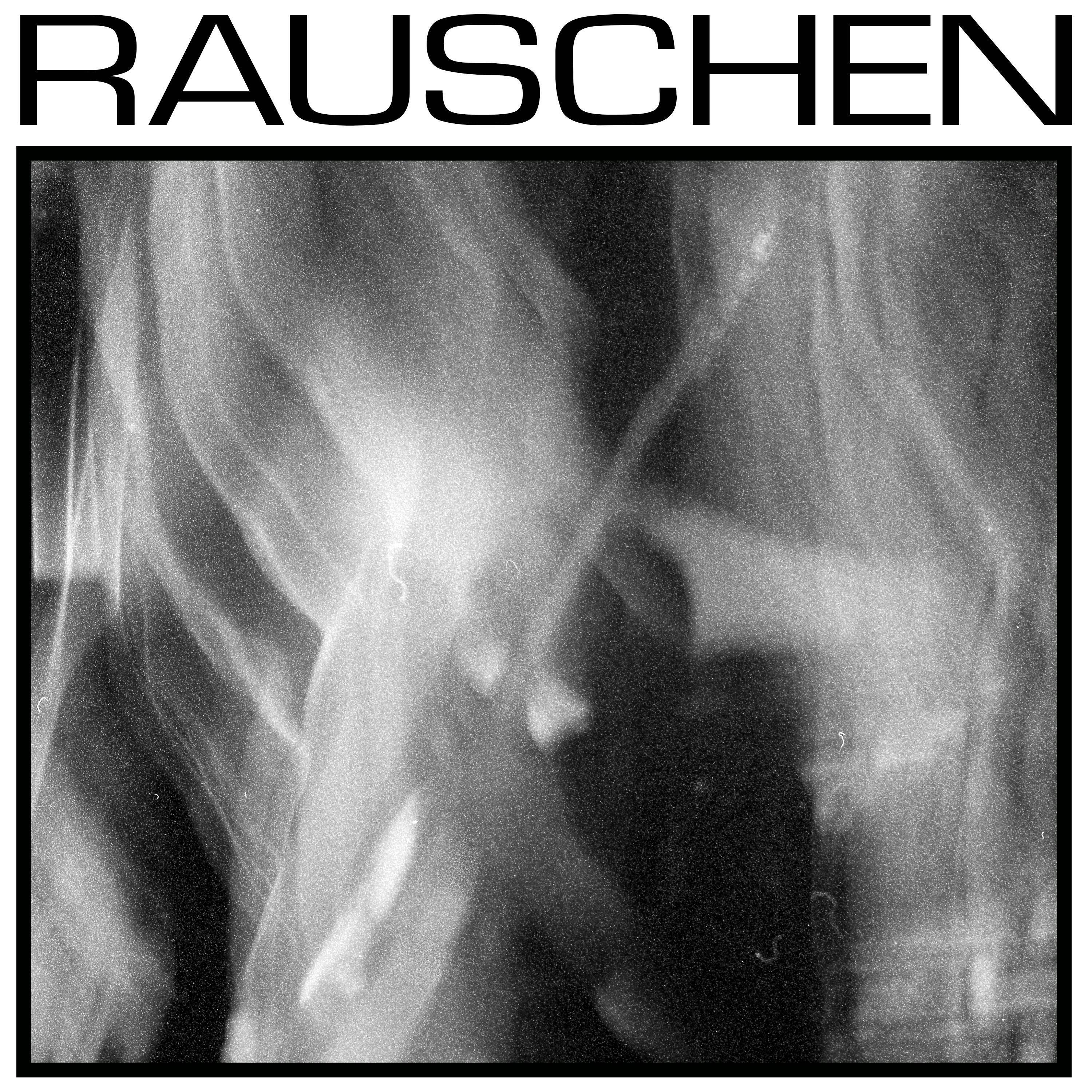 Релиз rauschen
