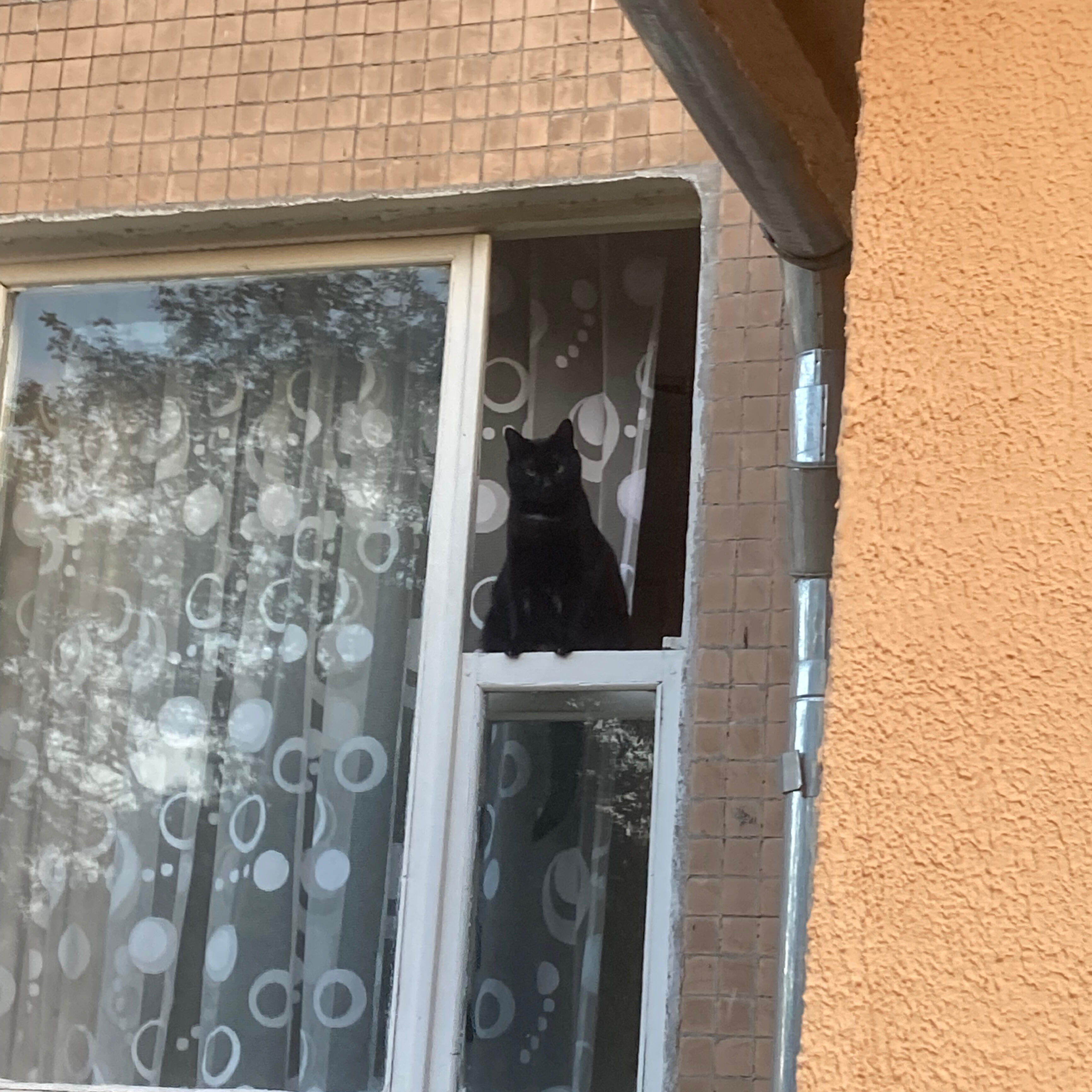 Релиз Не спят