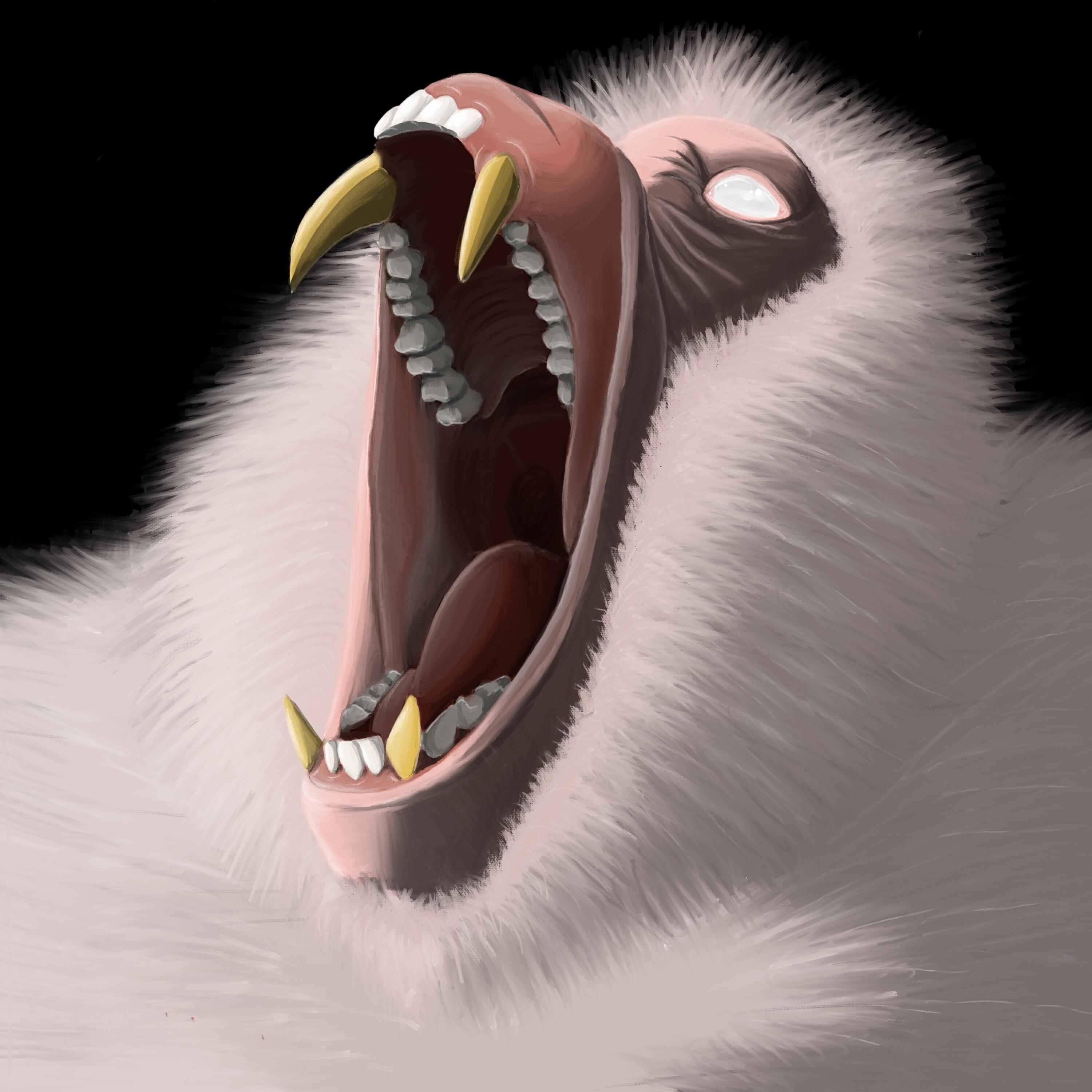 Krooper