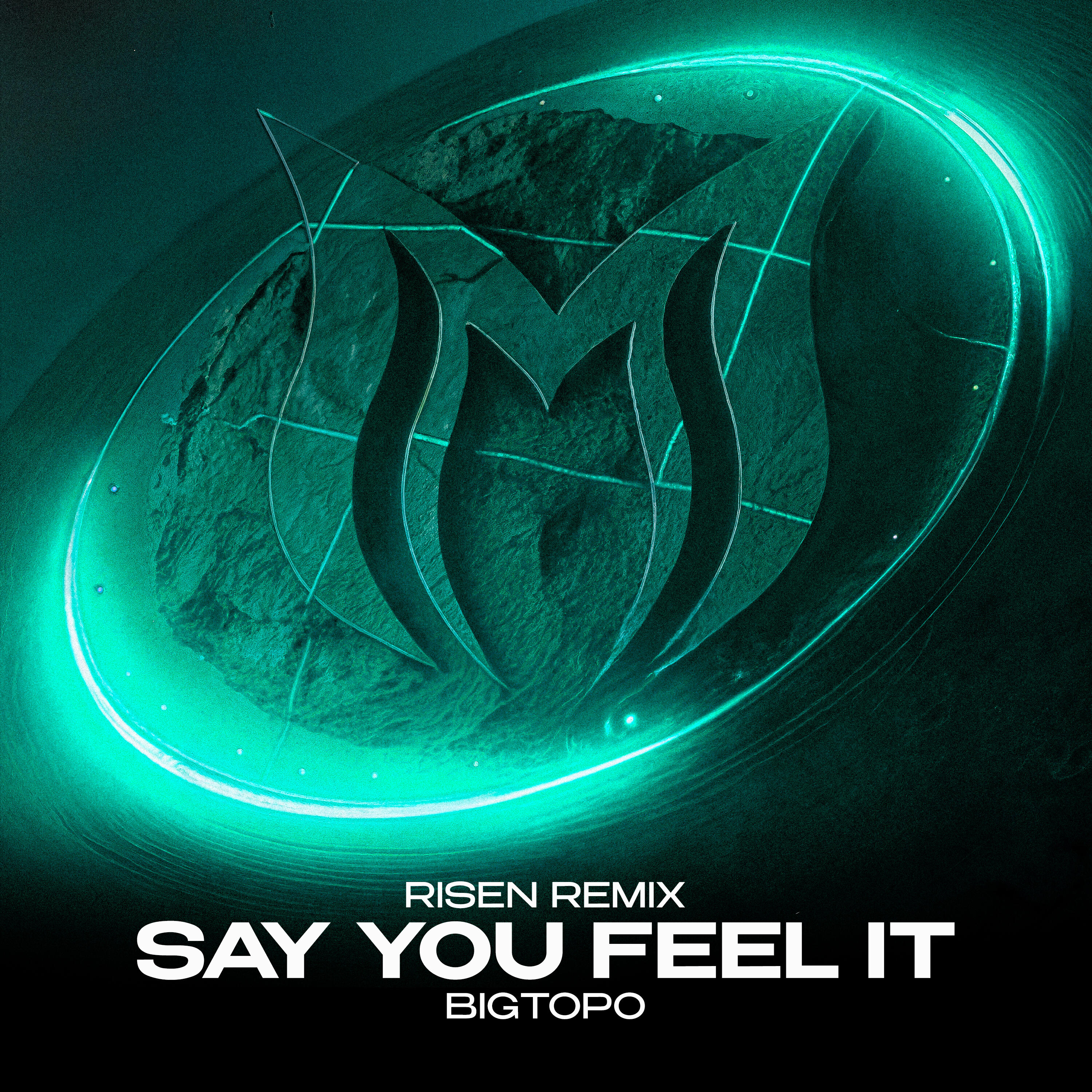 Релиз Say You Feel It (Risen Remix)