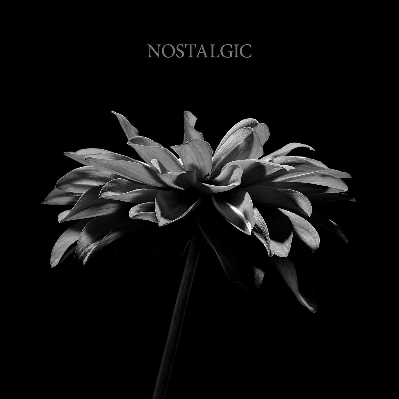 Релиз Nostalgic