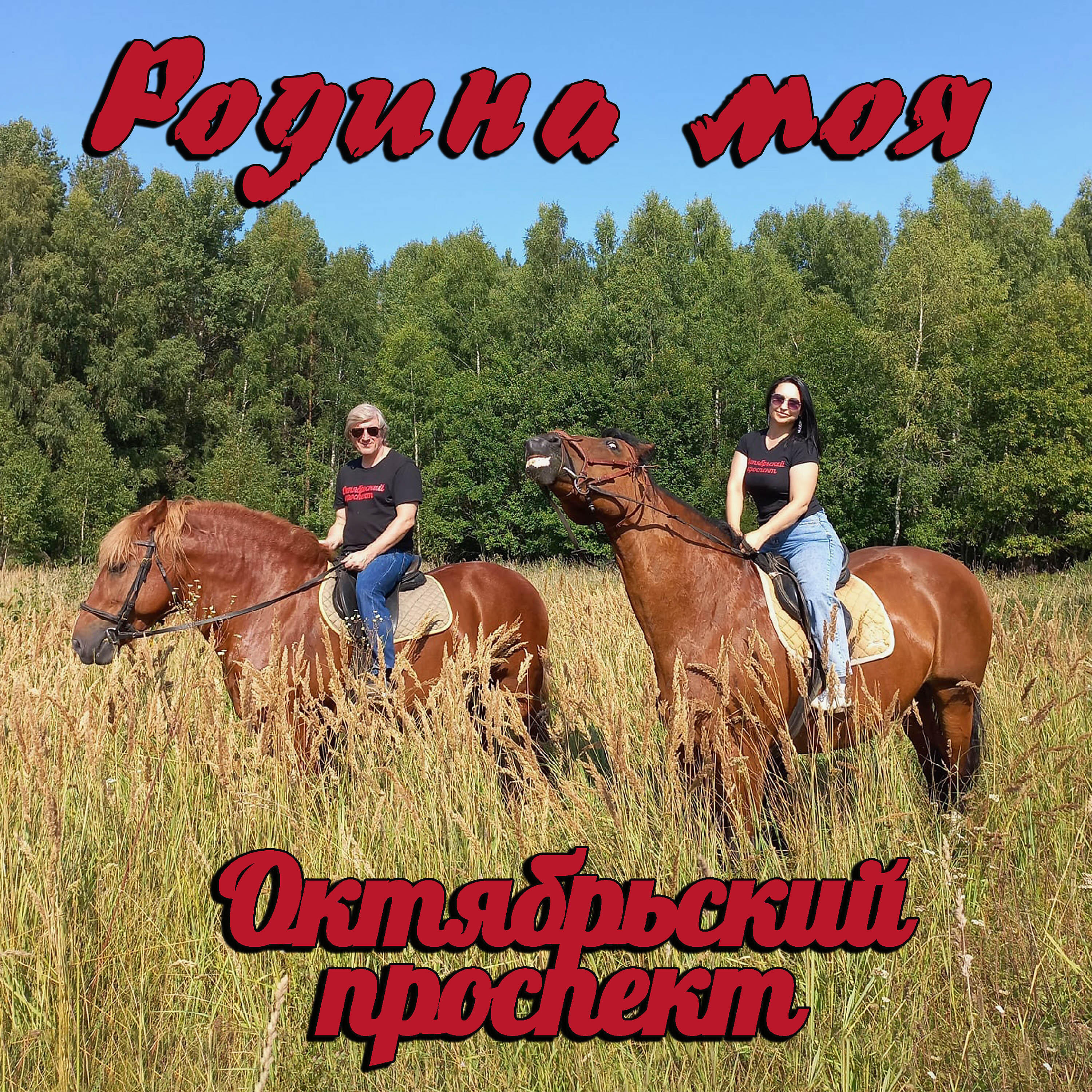 Постер альбома Родина Моя