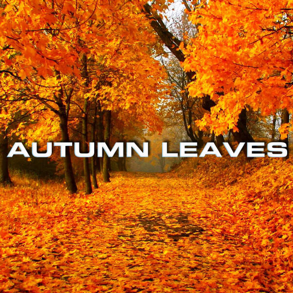 Релиз Autumn Leaves
