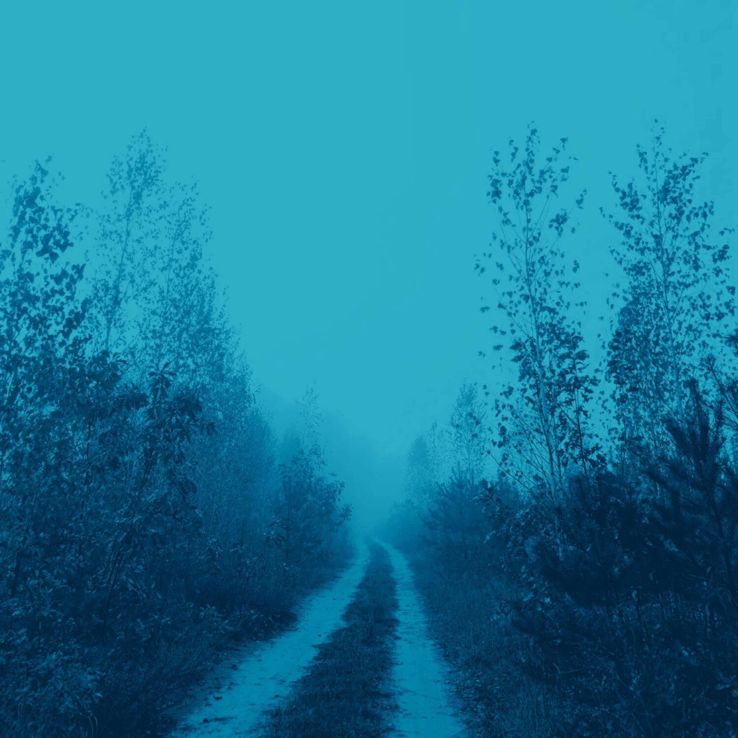 Релиз alone at home