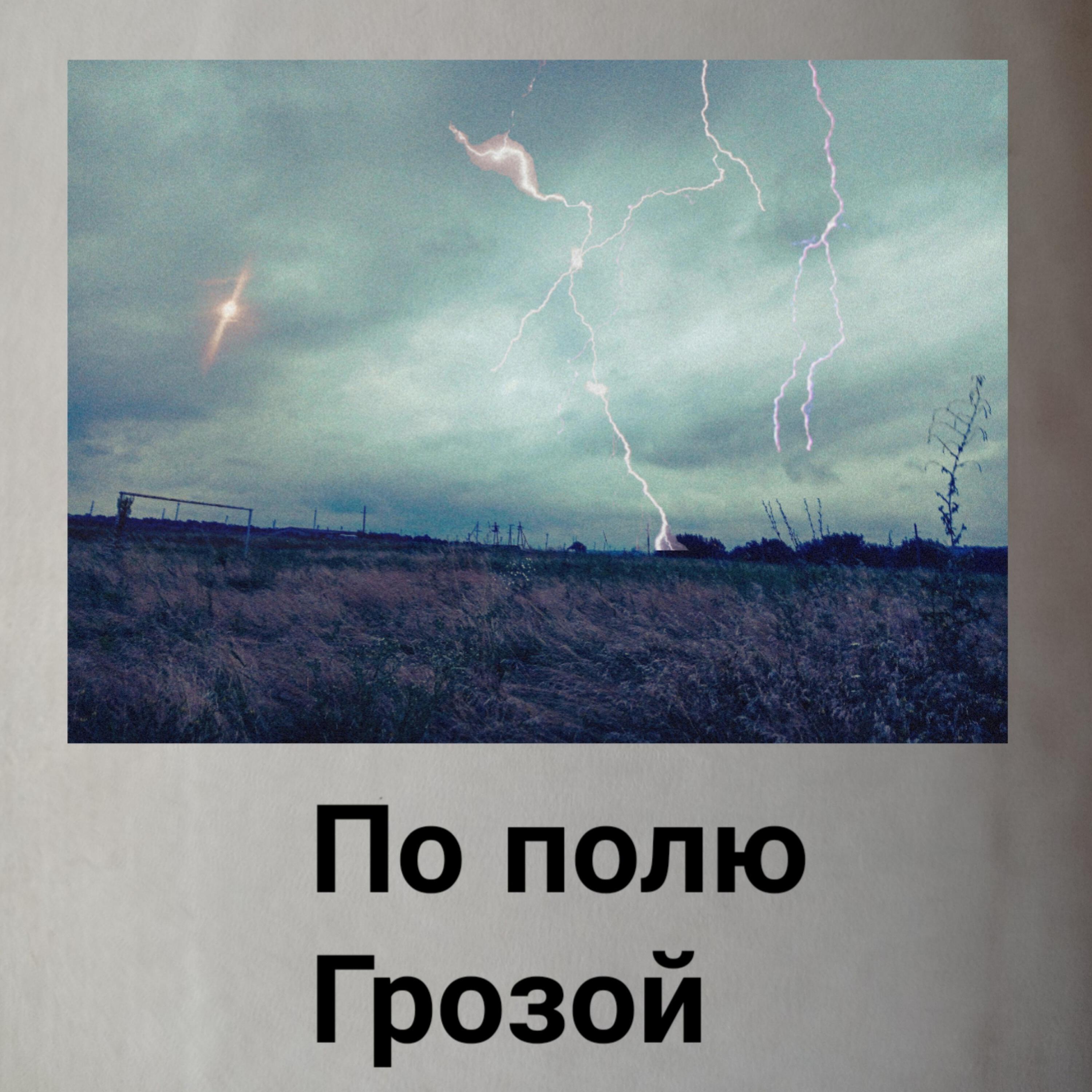 Релиз По полю / Грозой