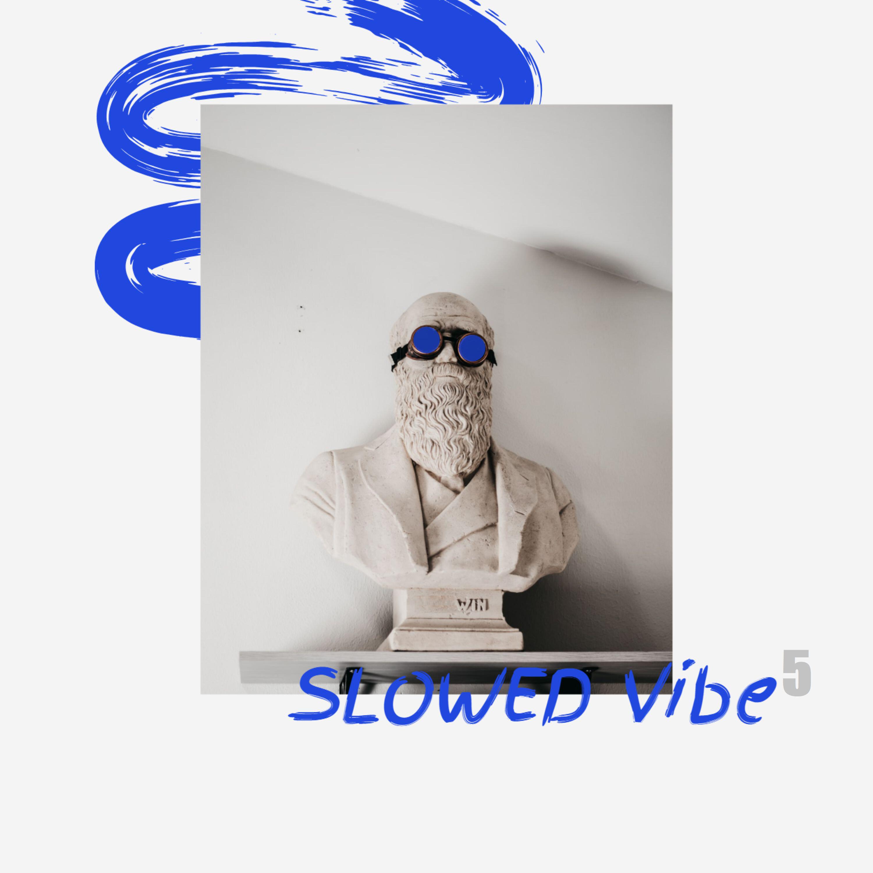 Релиз slowed vibe vol.5