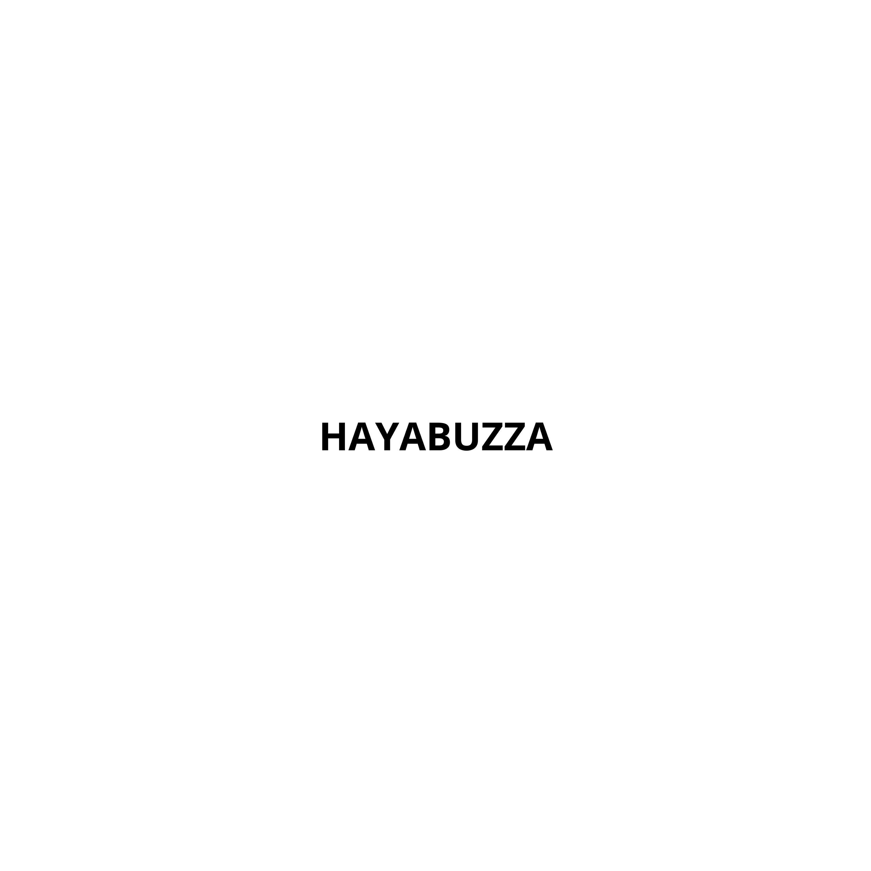 Релиз HAYABUZZA
