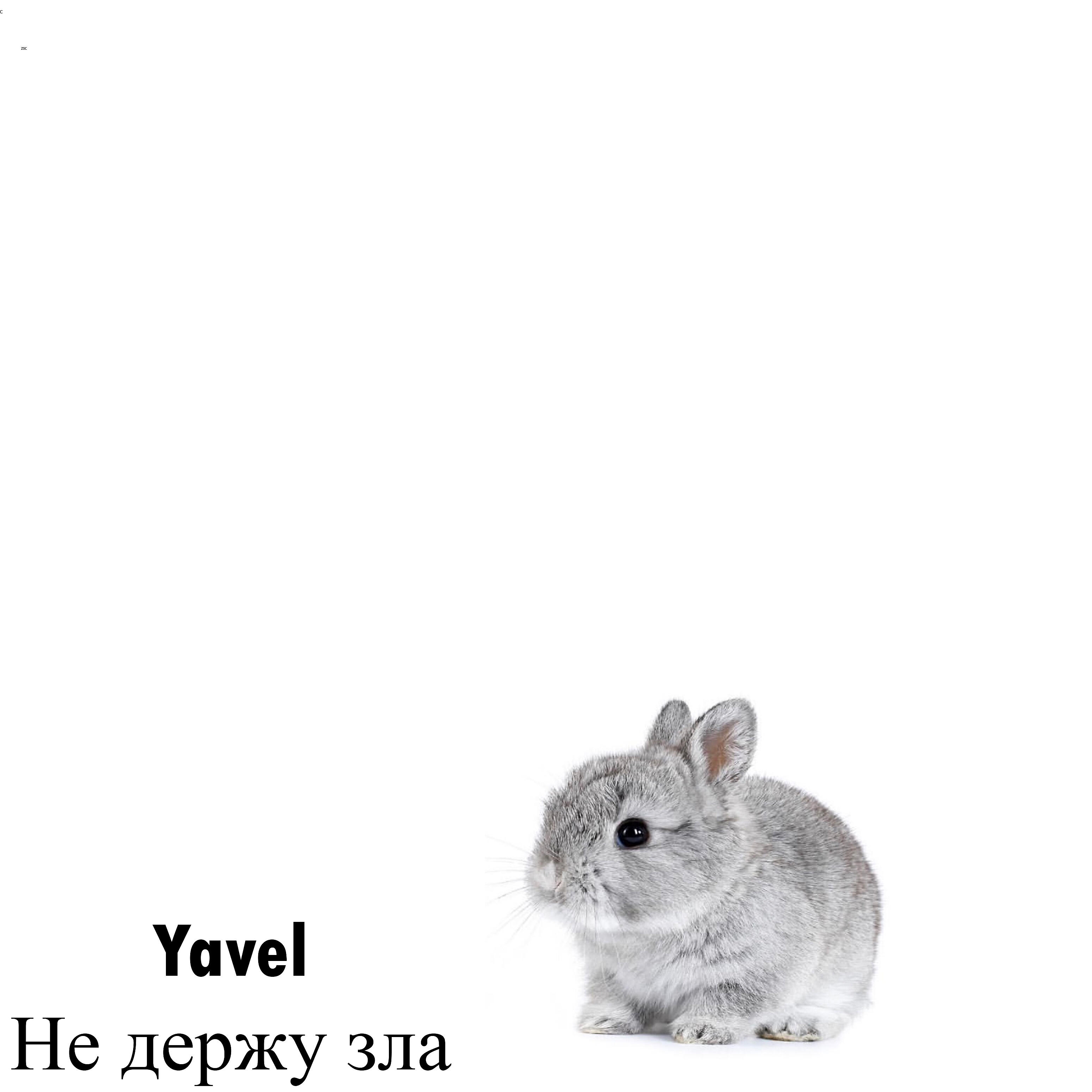 Релиз Не держу зла