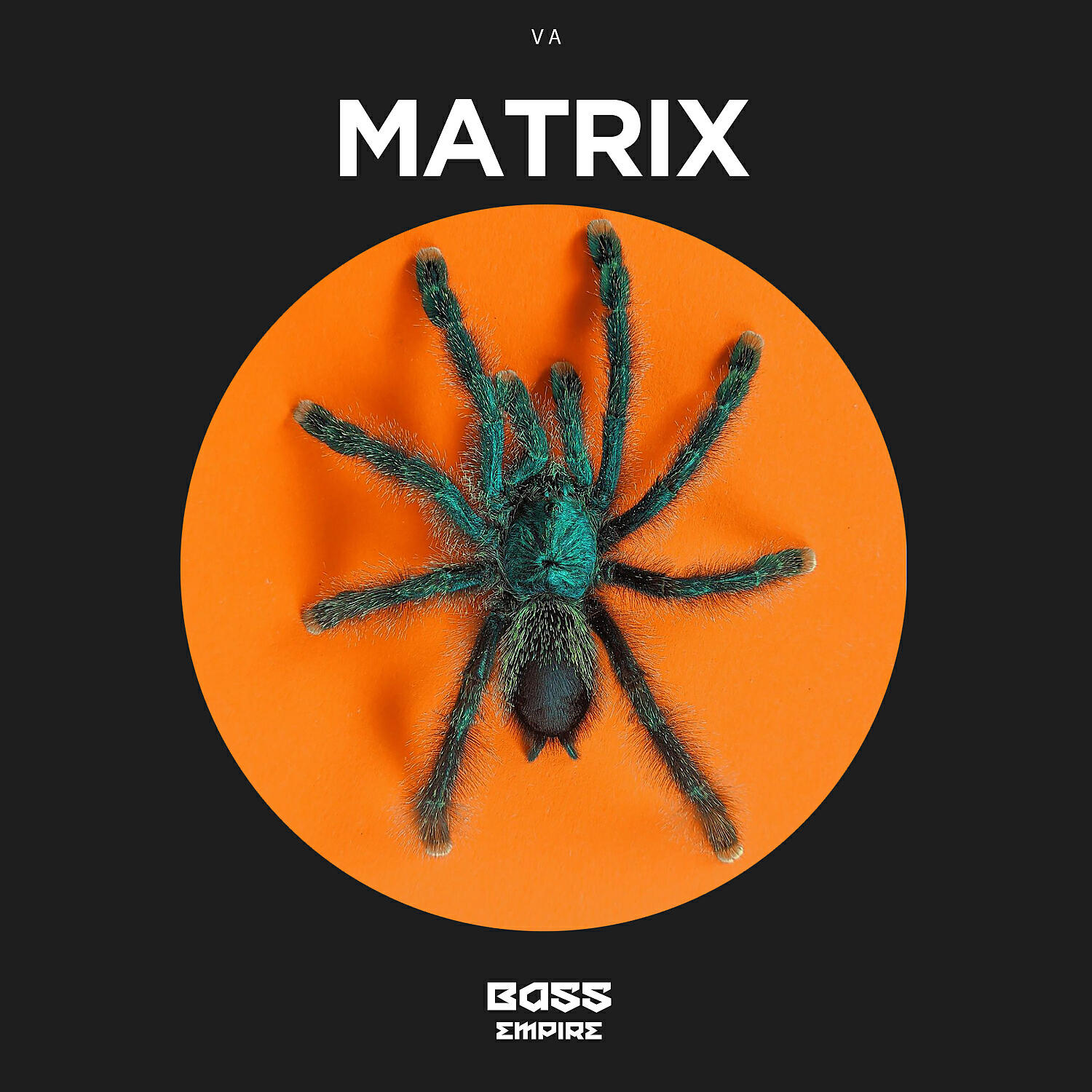 Релиз Matrix