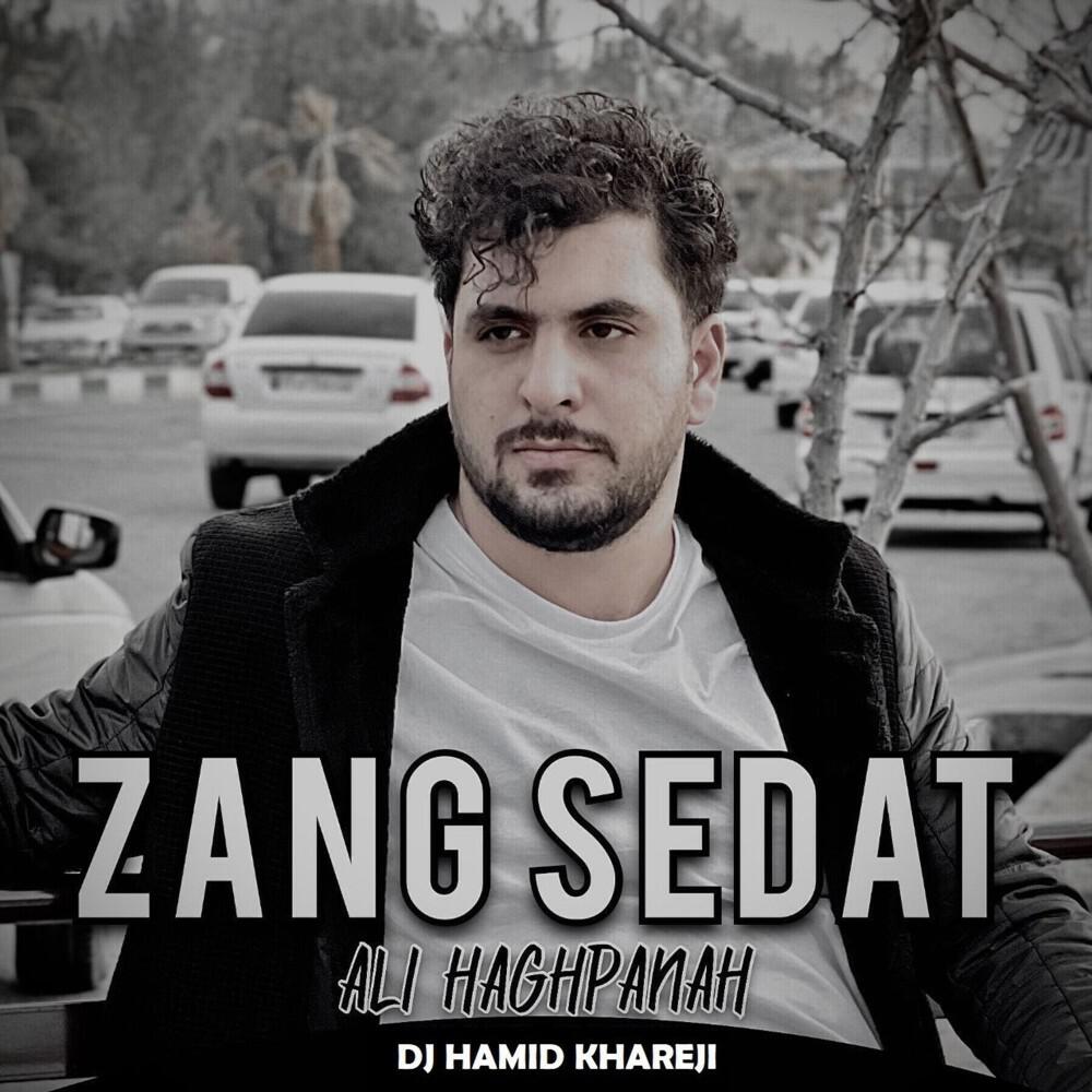 Релиз Zang Sedat (Remix)