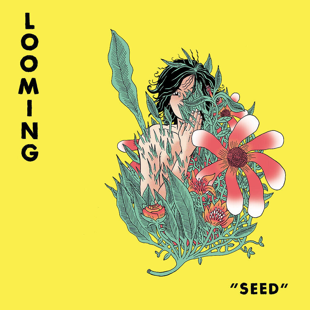 Релиз Seed