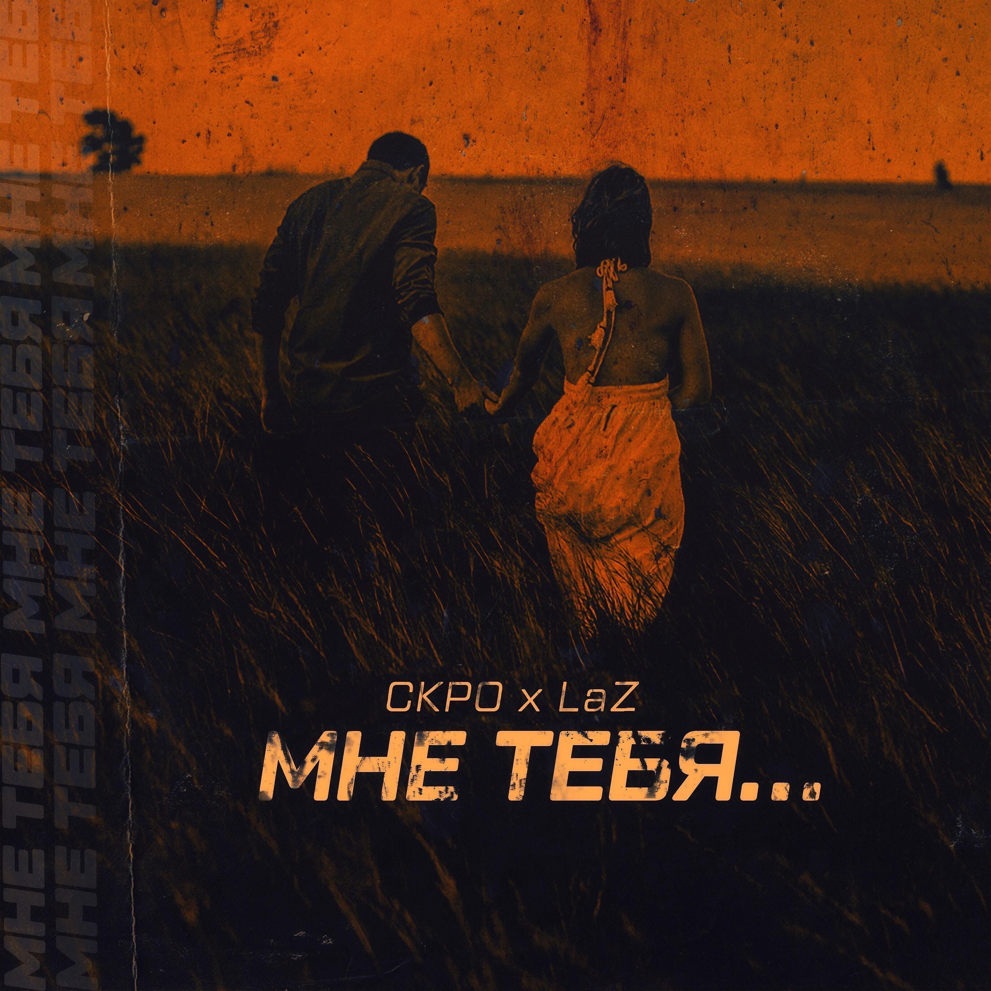 Постер альбома Мне тебя...