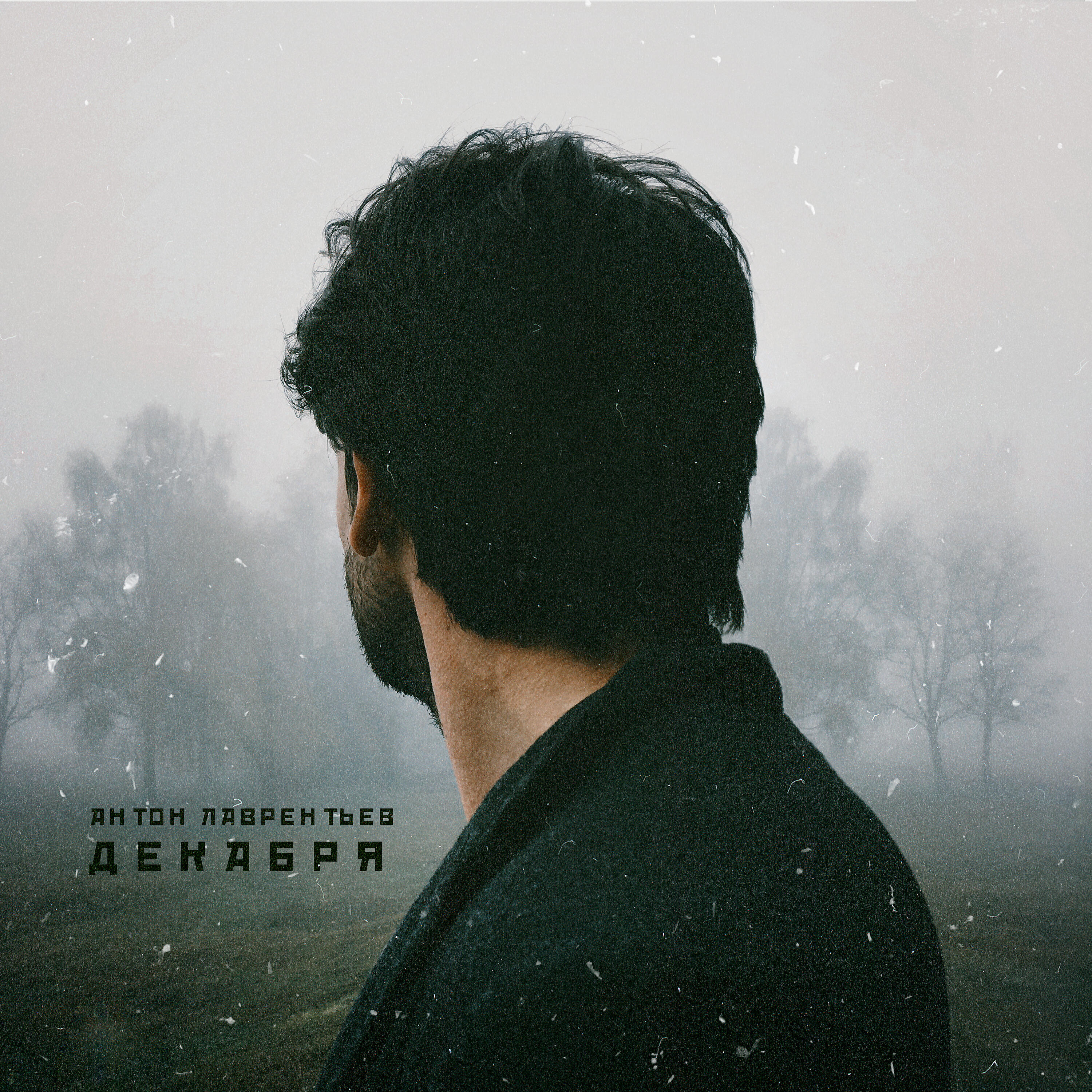 Постер альбома Декабря
